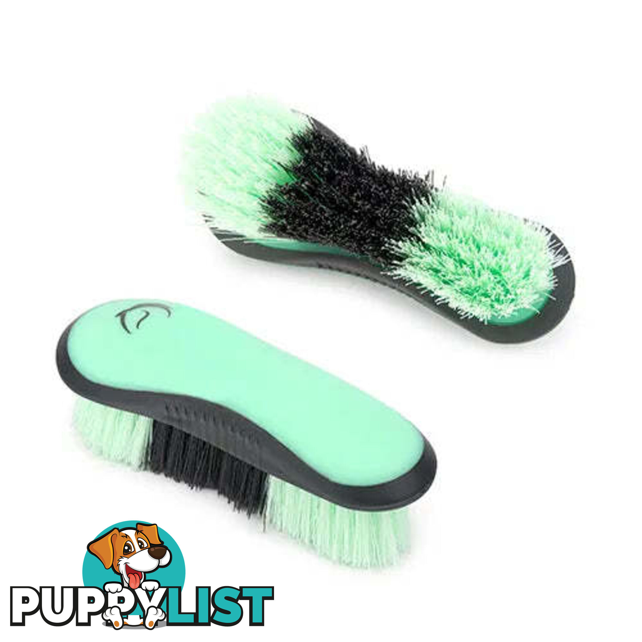 STIFF DANDY BRUSH - BAINBRIDGE - BB-A4072-BKBE