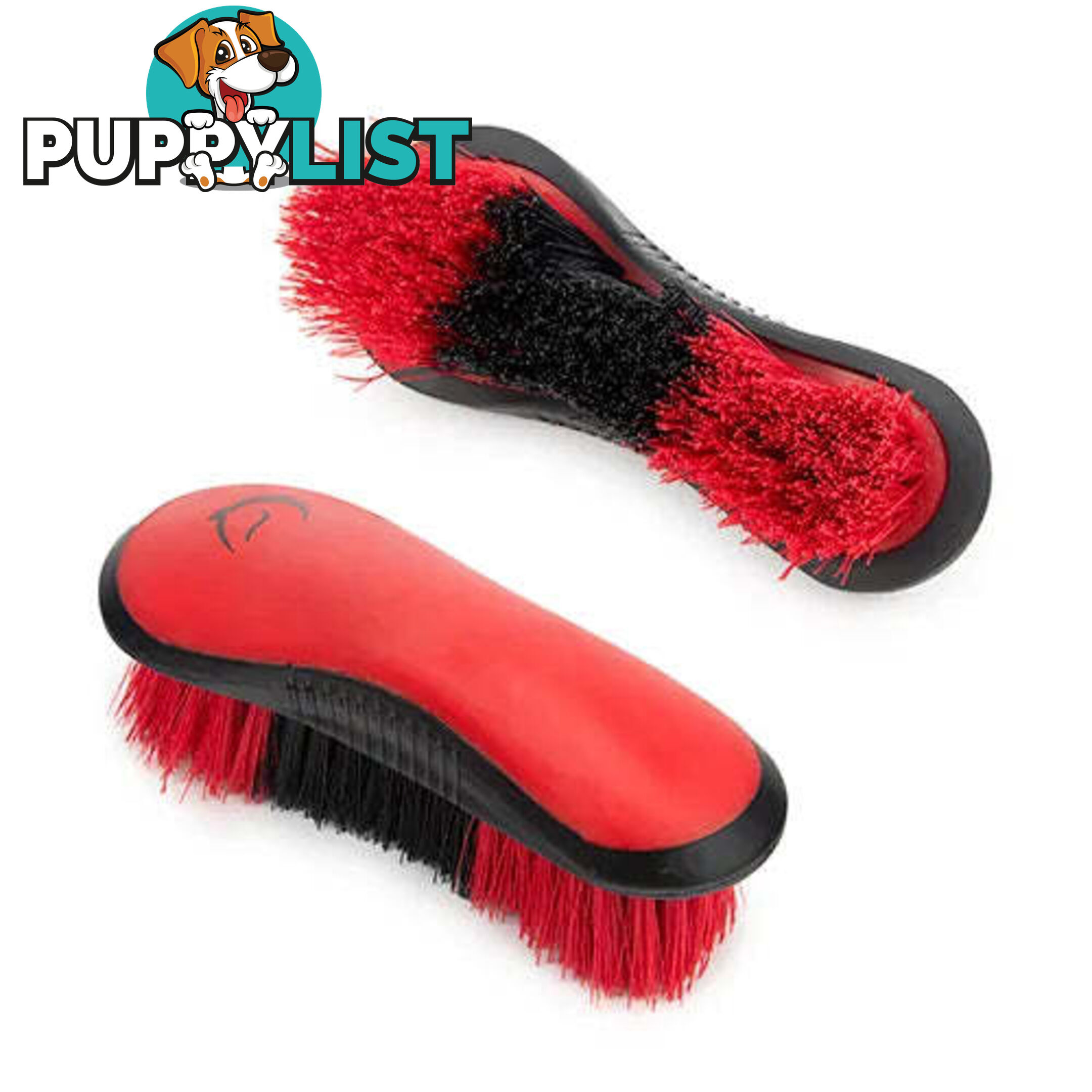 STIFF DANDY BRUSH - BAINBRIDGE - BB-A4072-BKBE