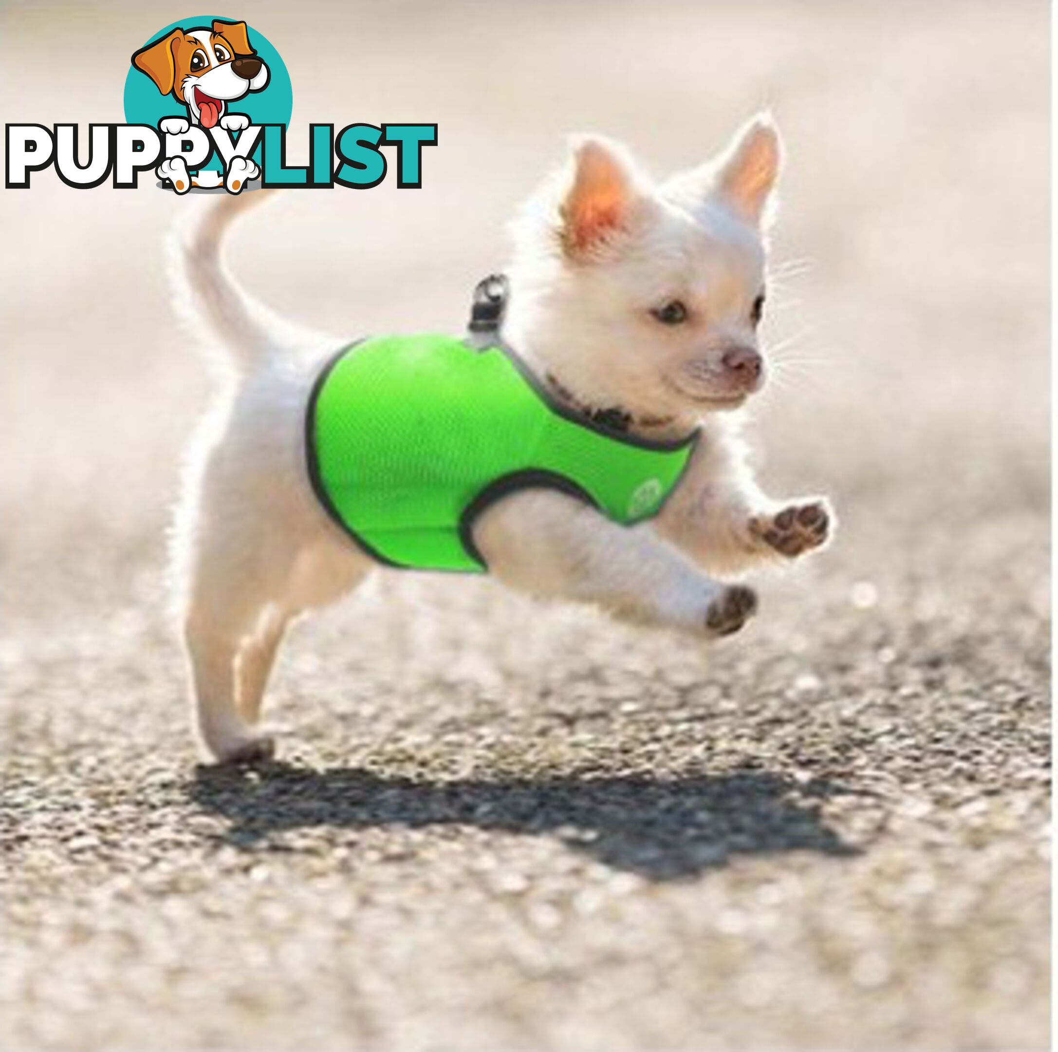 Doggie ID Vest Soft Air Mesh Personlised Embroidered - MDPIDVESXSRED