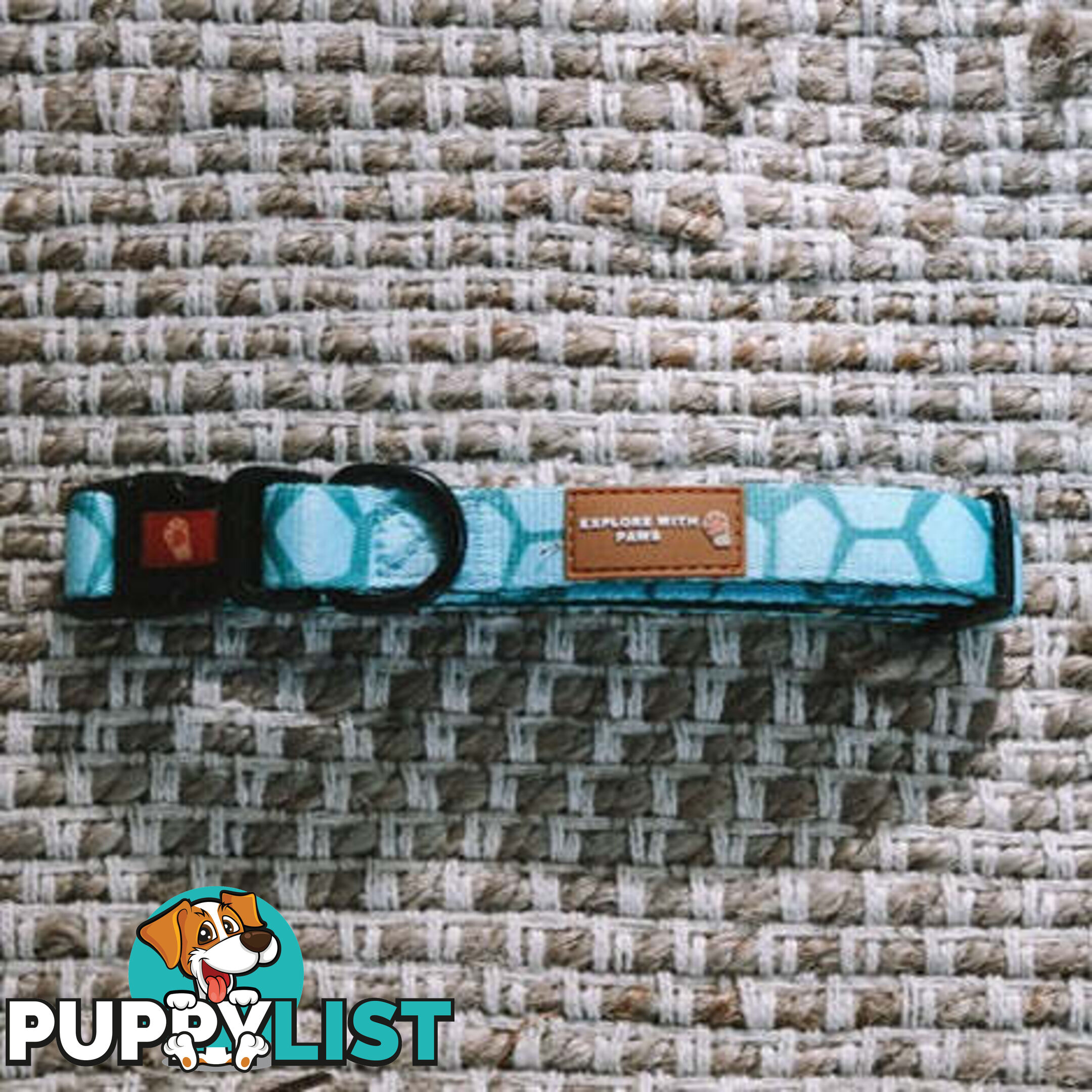 Designer Dog Collars by Explore with Paws - EWPCOLXSCRON