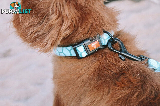 Designer Dog Collars by Explore with Paws - EWPCOLXSCRON