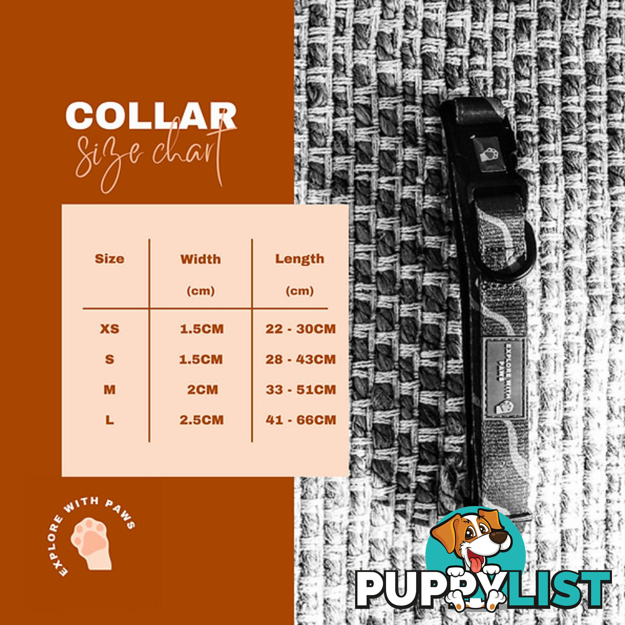 Designer Dog Collars by Explore with Paws - EWPCOLXSCRON