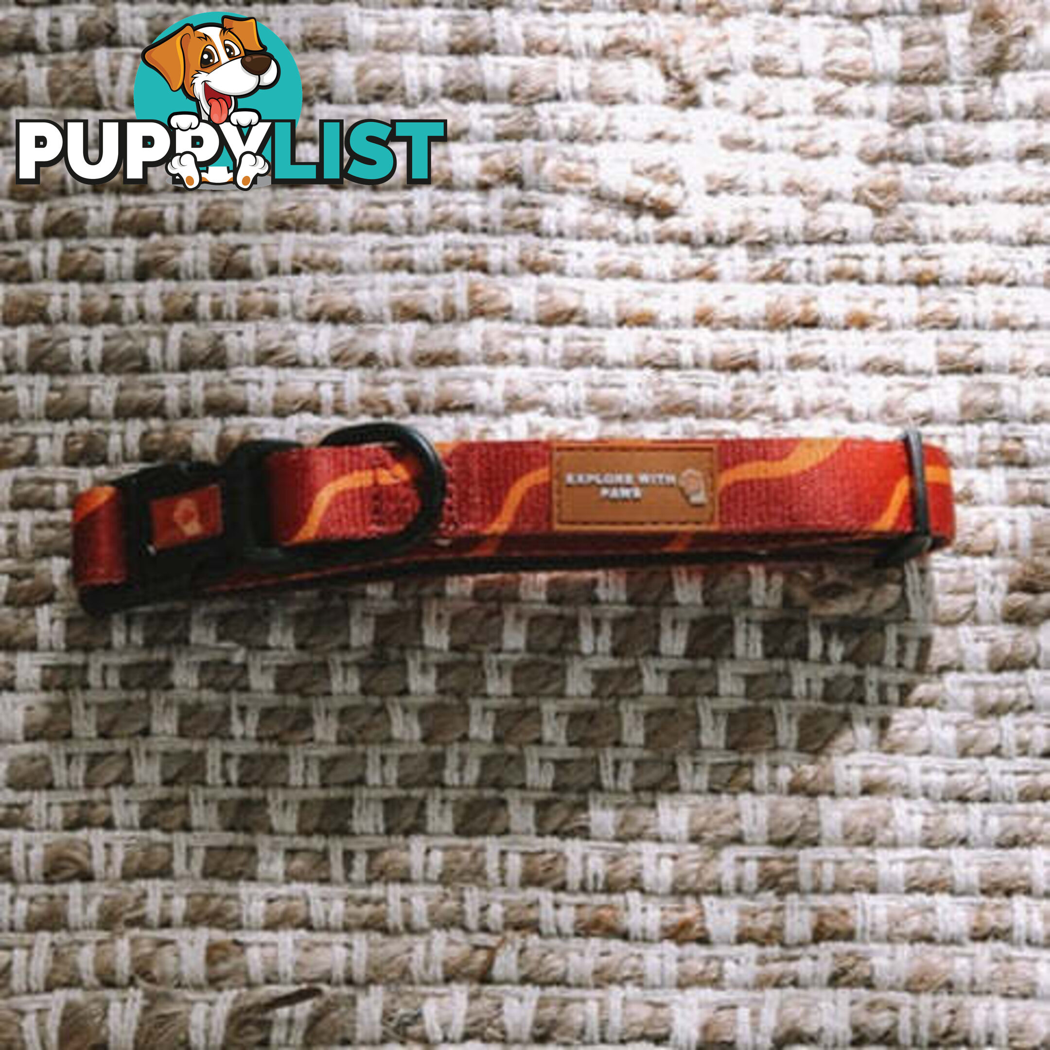 Designer Dog Collars by Explore with Paws - EWPCOLXSCRON