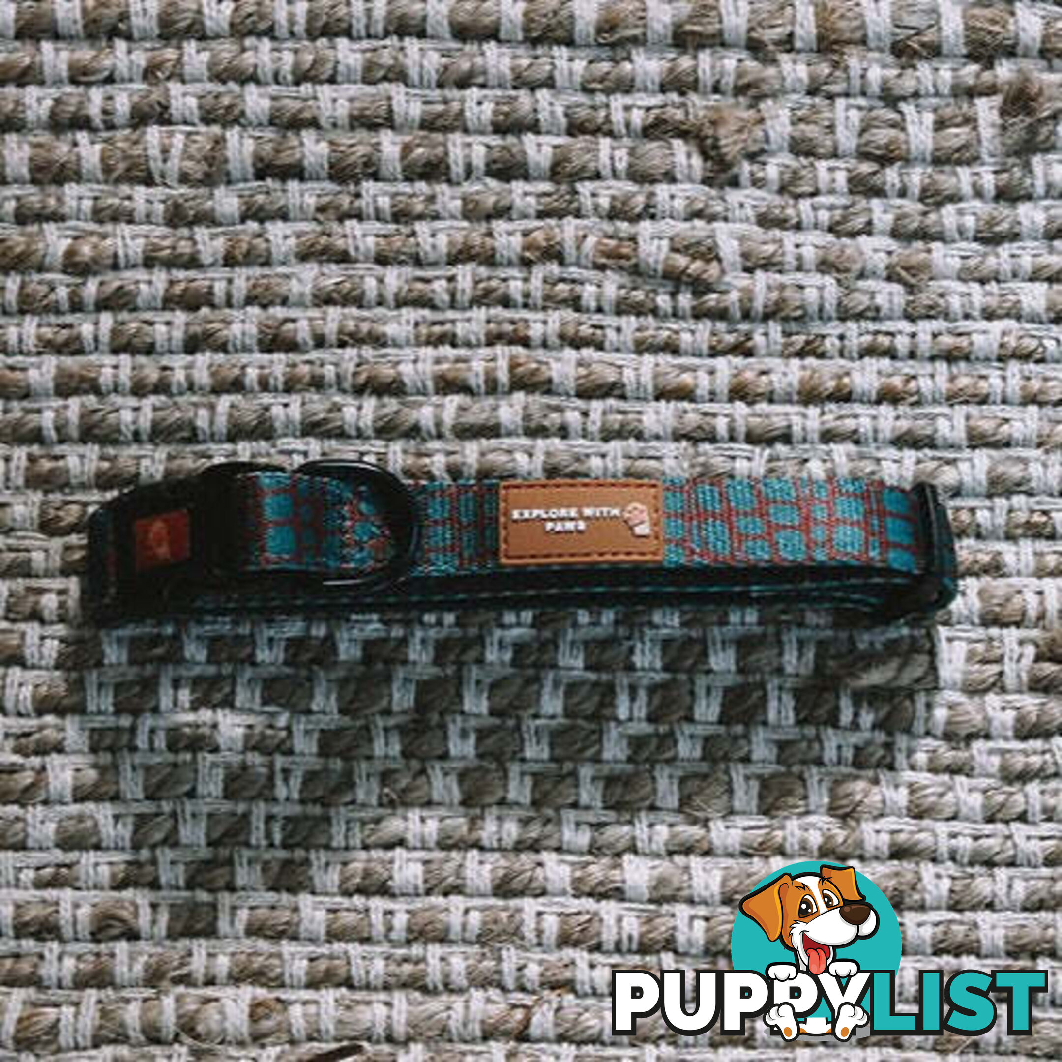 Designer Dog Collars by Explore with Paws - EWPCOLXSCRON