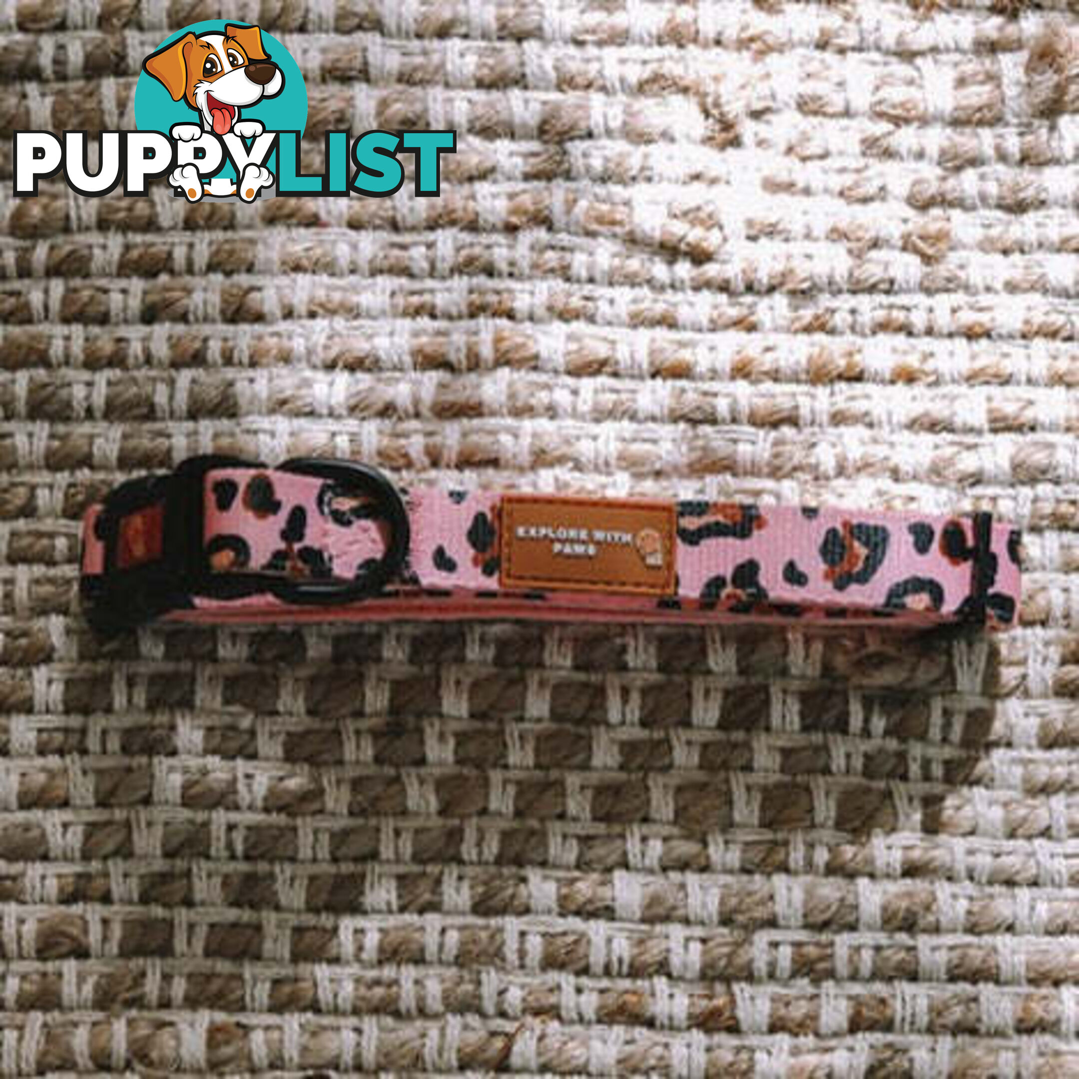 Designer Dog Collars by Explore with Paws - EWPCOLXSCRON