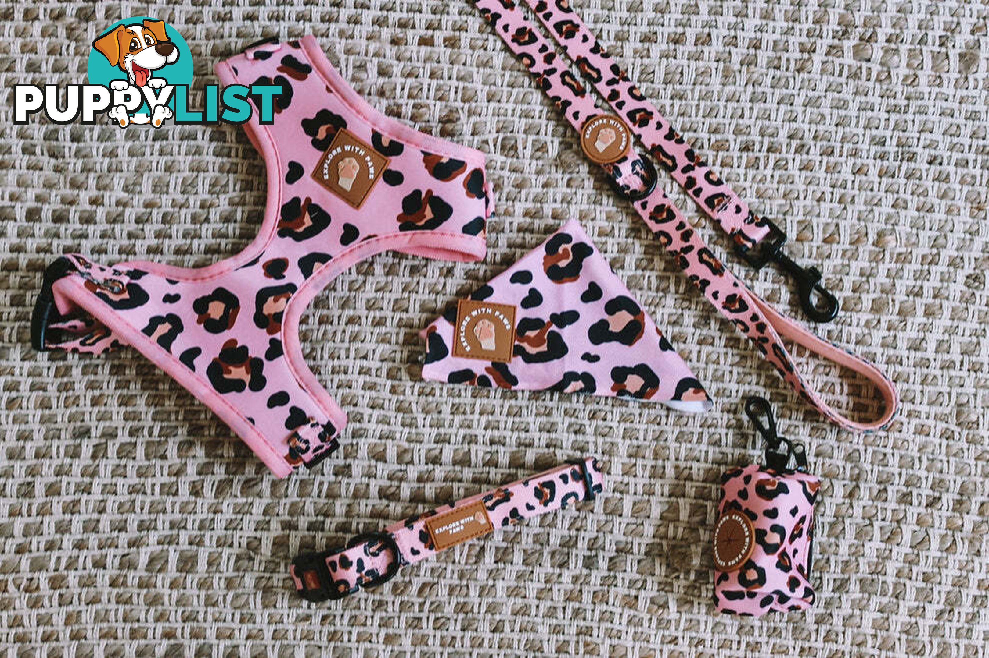 Designer Dog Collars by Explore with Paws - EWPCOLXSCRON