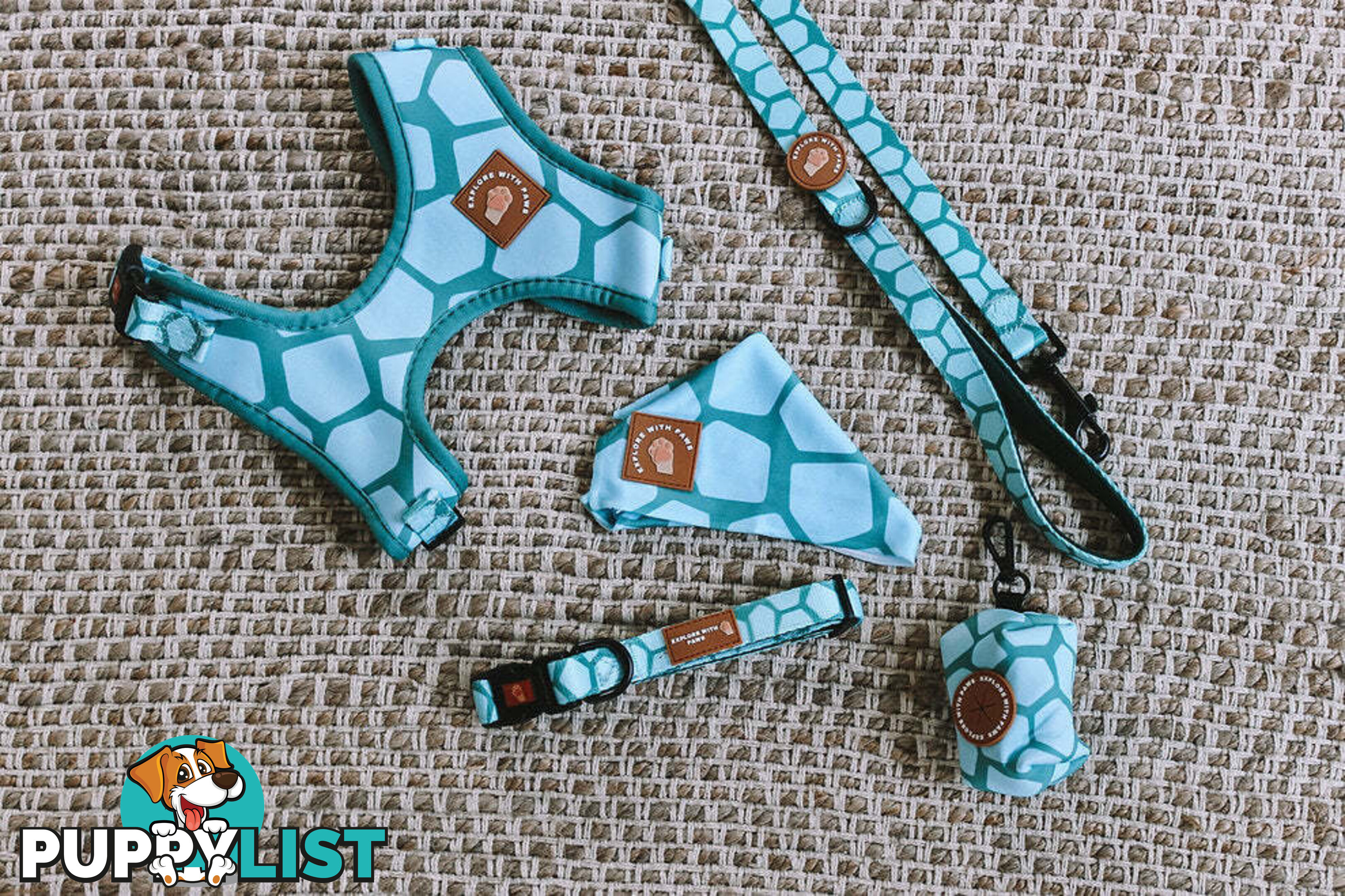 Designer Dog Collars by Explore with Paws - EWPCOLXSCRON