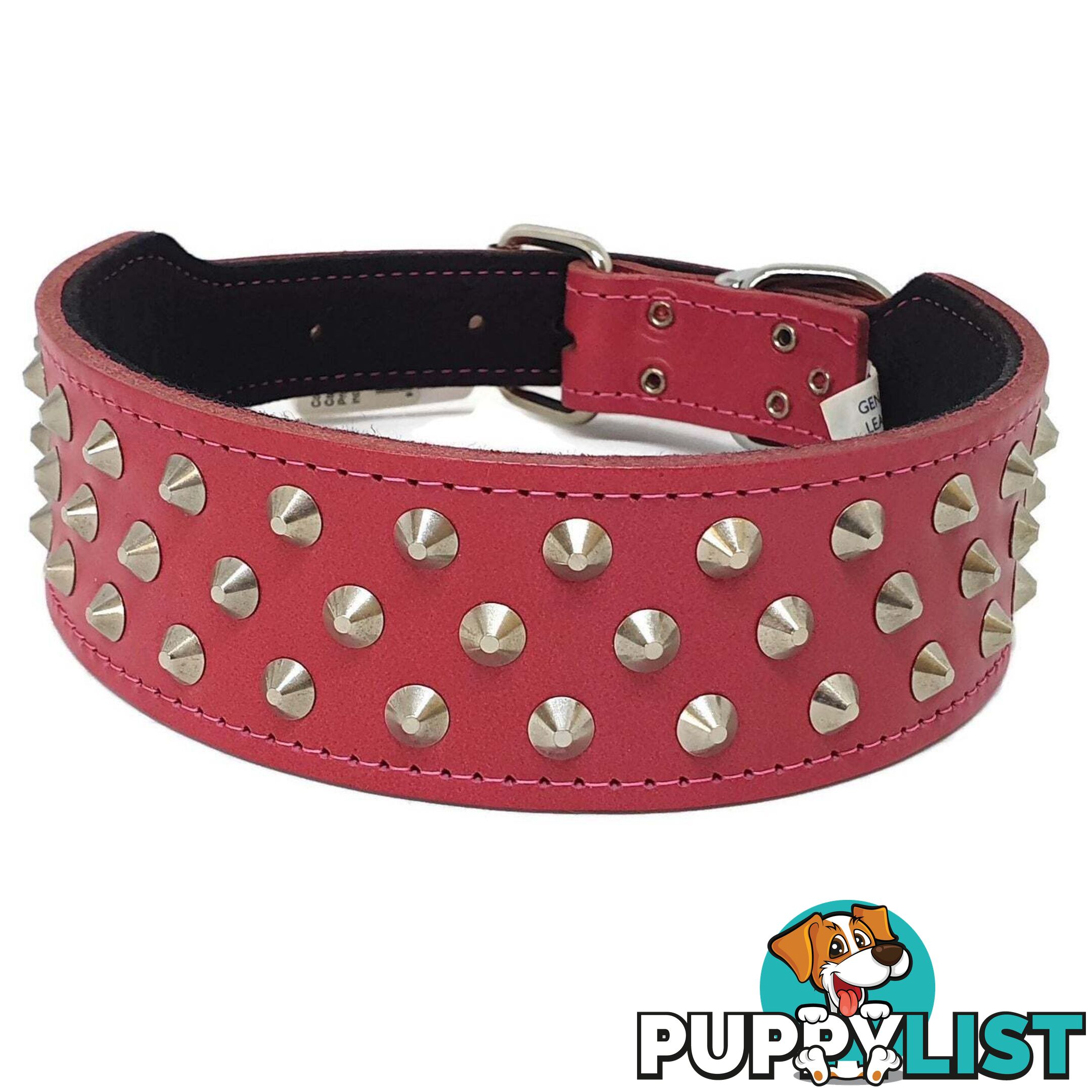 Staffy Leather Studded Dog Collar - Beau Pets - JPP-1042-RED