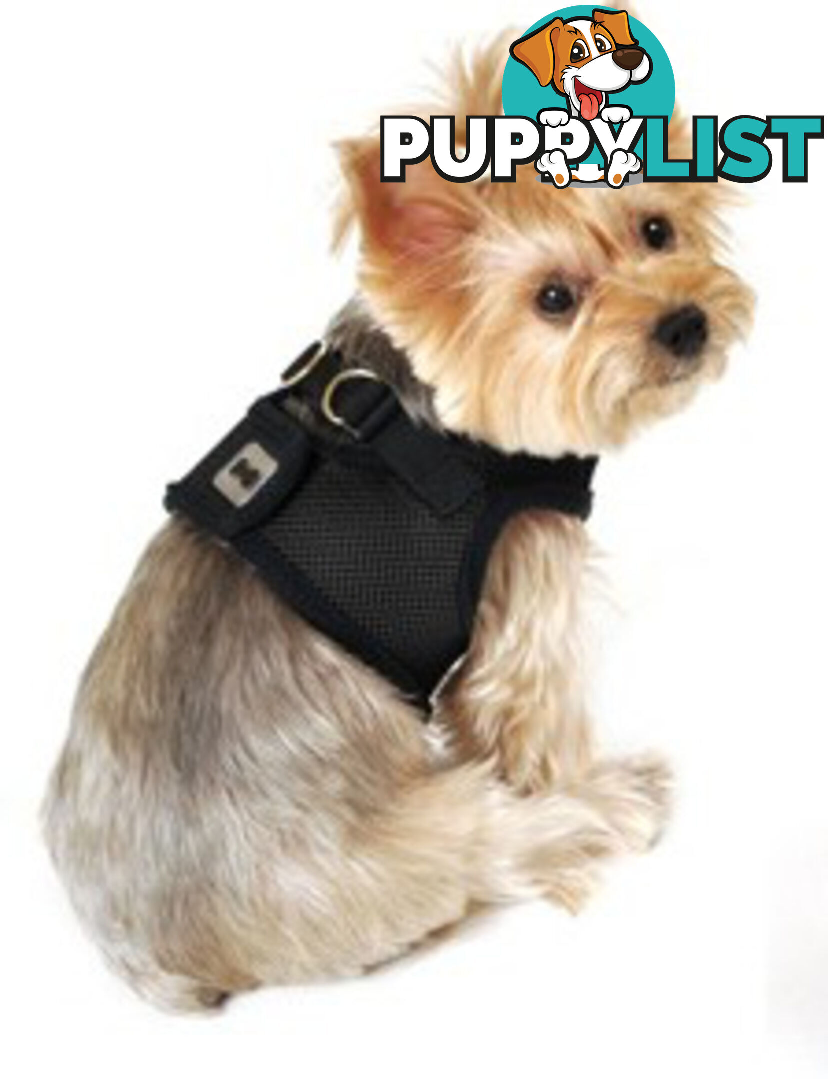 Vest Harness Pet Dog-Cat Step-in Velcro and Buckle Attachments - Moondidley Pets - MDPVESTLPUR