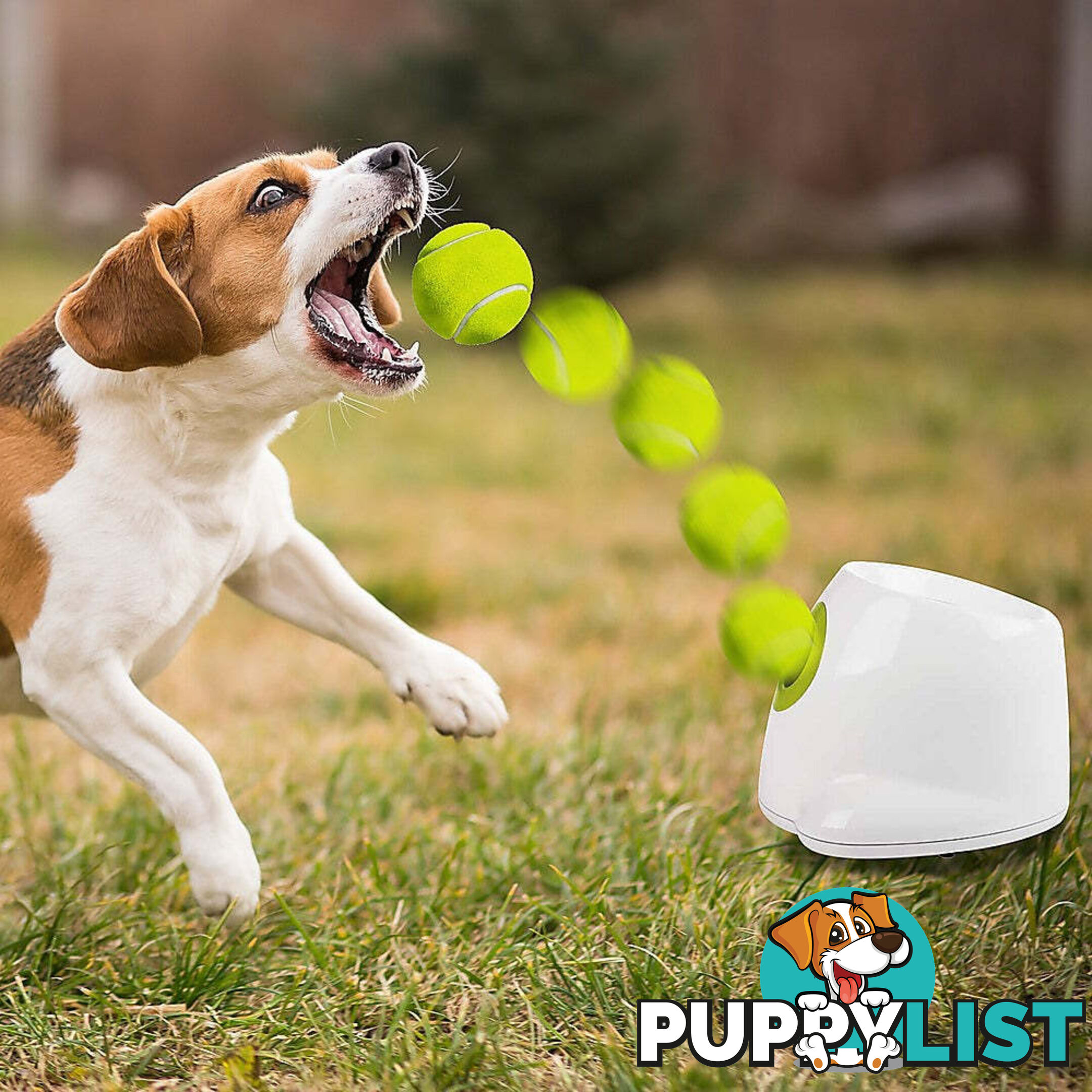Dog Ball Launcher Thrower Automatic Tennis Fetch Throwing Machine 3 Balls - V63-836951