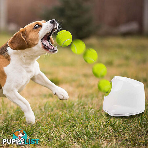 Dog Ball Launcher Thrower Automatic Tennis Fetch Throwing Machine 3 Balls - V63-836951