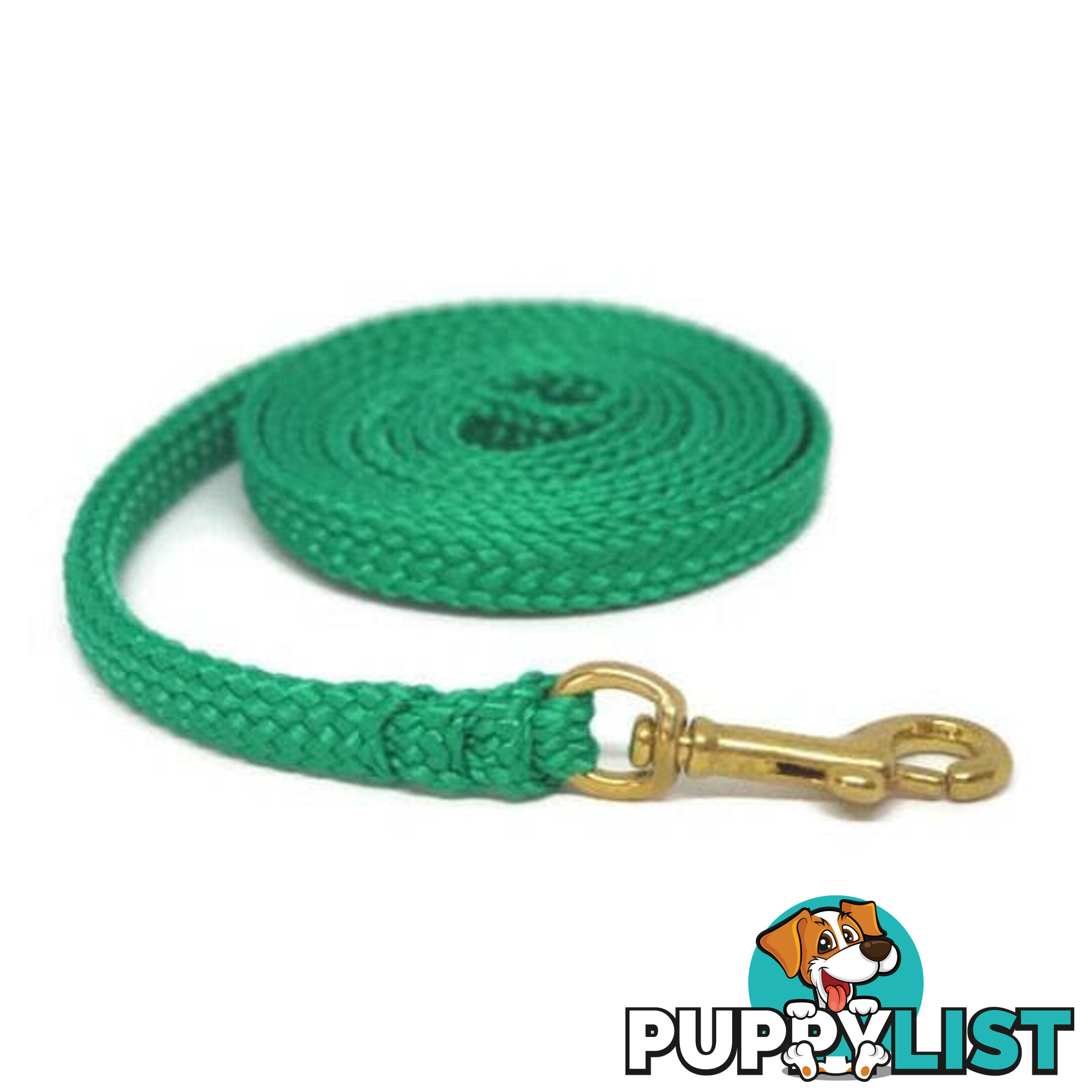 1.8m to 10m Long Dog Lead No Stitching Tough Yarnix 10mm Wide - YNXLD10-1.8-PUR-SS