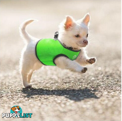 Doggie ID Vest Soft Air Mesh Personlised Embroidered - MDPIDVESXLPUR