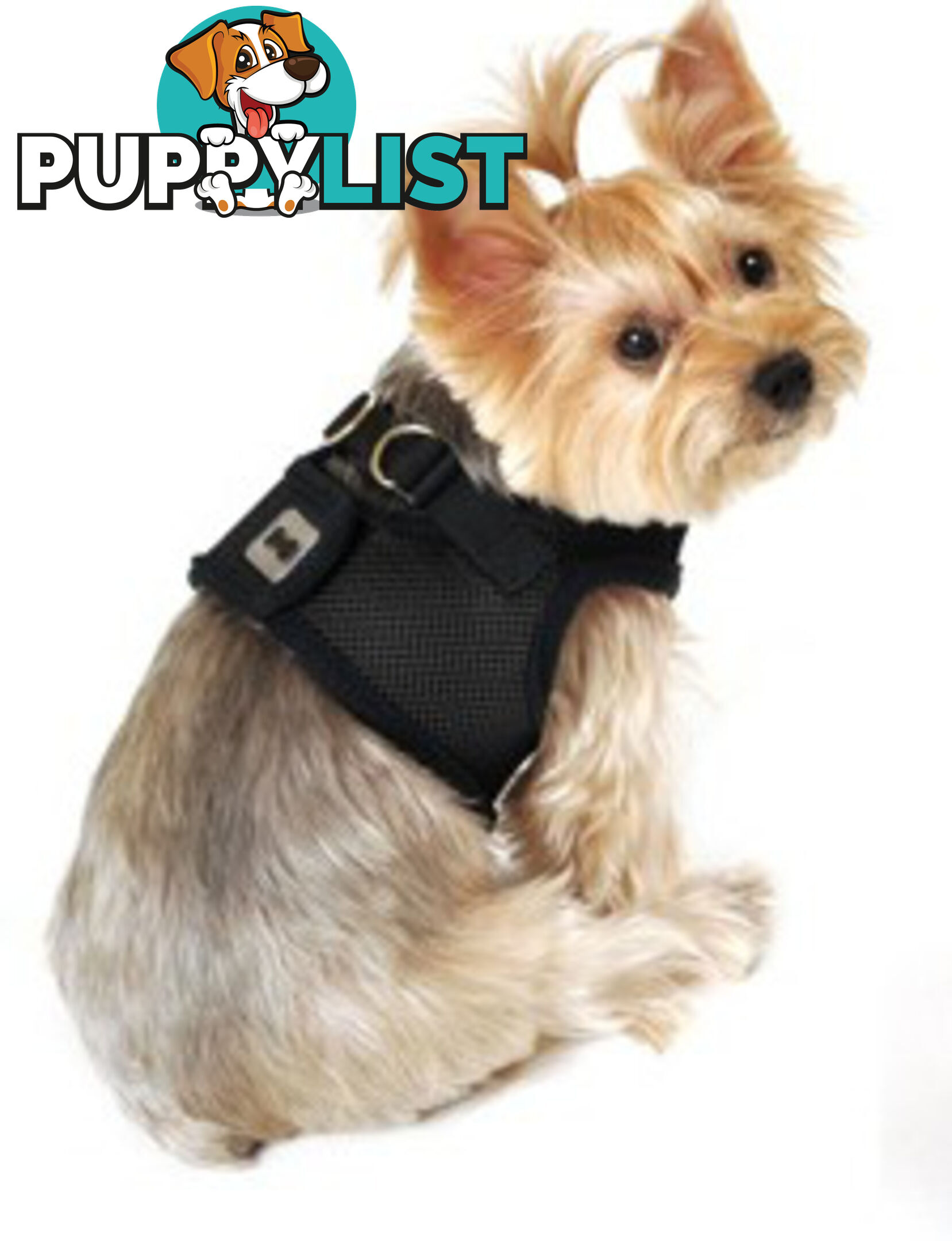 Doggie ID Vest Soft Air Mesh Personlised Embroidered - MDPIDVESXLPUR