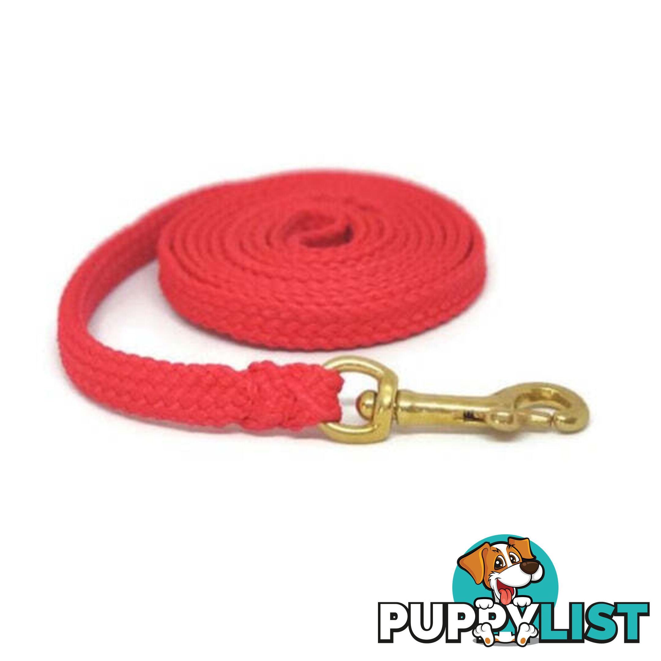 1.8m to 10m Long Dog Lead No Stitching Tough Yarnix 10mm Wide - YNXLD10-3-BL-BR