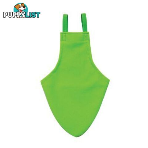 Bird Featherwear Flightsuit Harness & Diaper by Avian Fashions - AF-FS14-GREEN