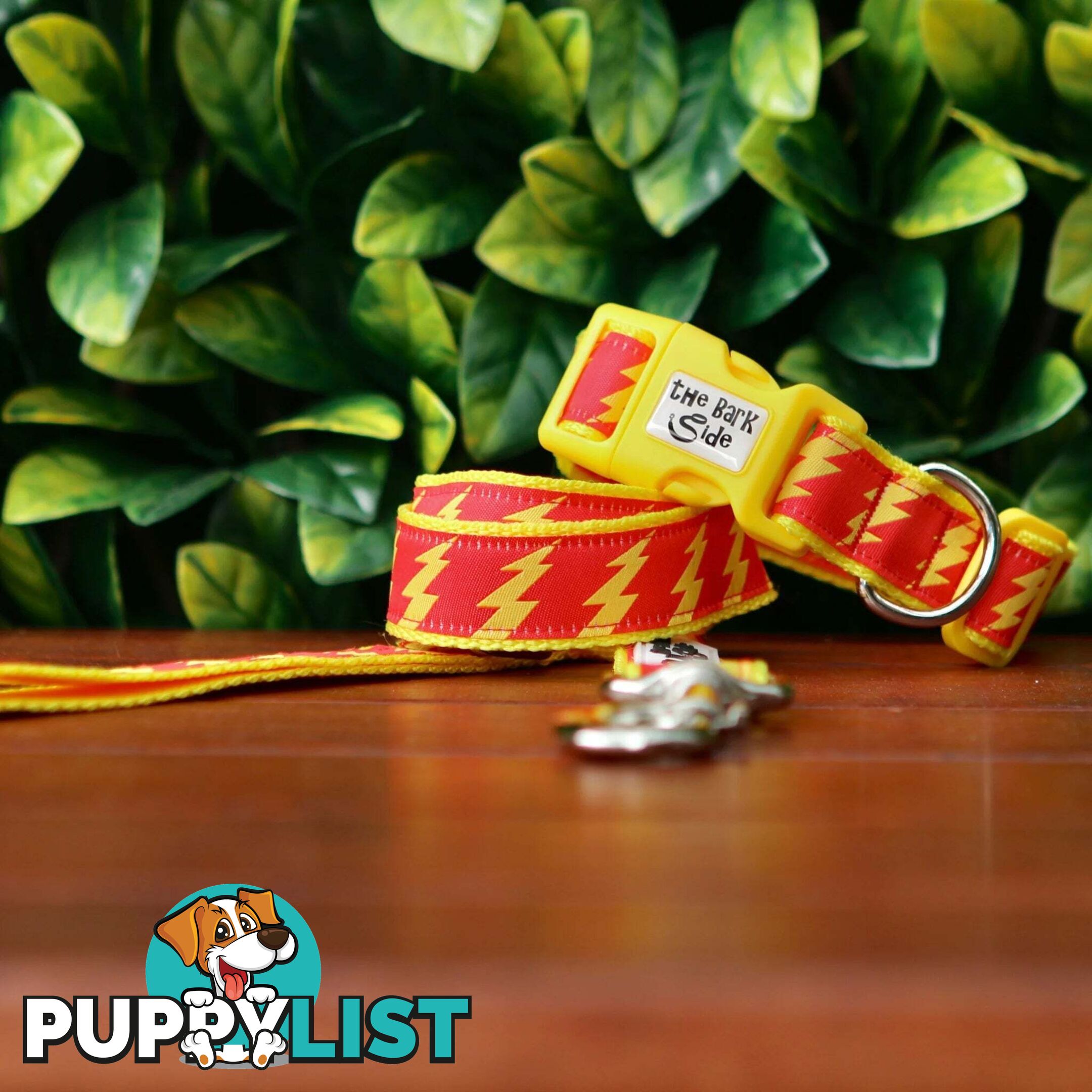 Lightning Bolt Dog Lead / Dog Leash - Hand Made by The Bark Side - TBSLDLIGBLK201.5
