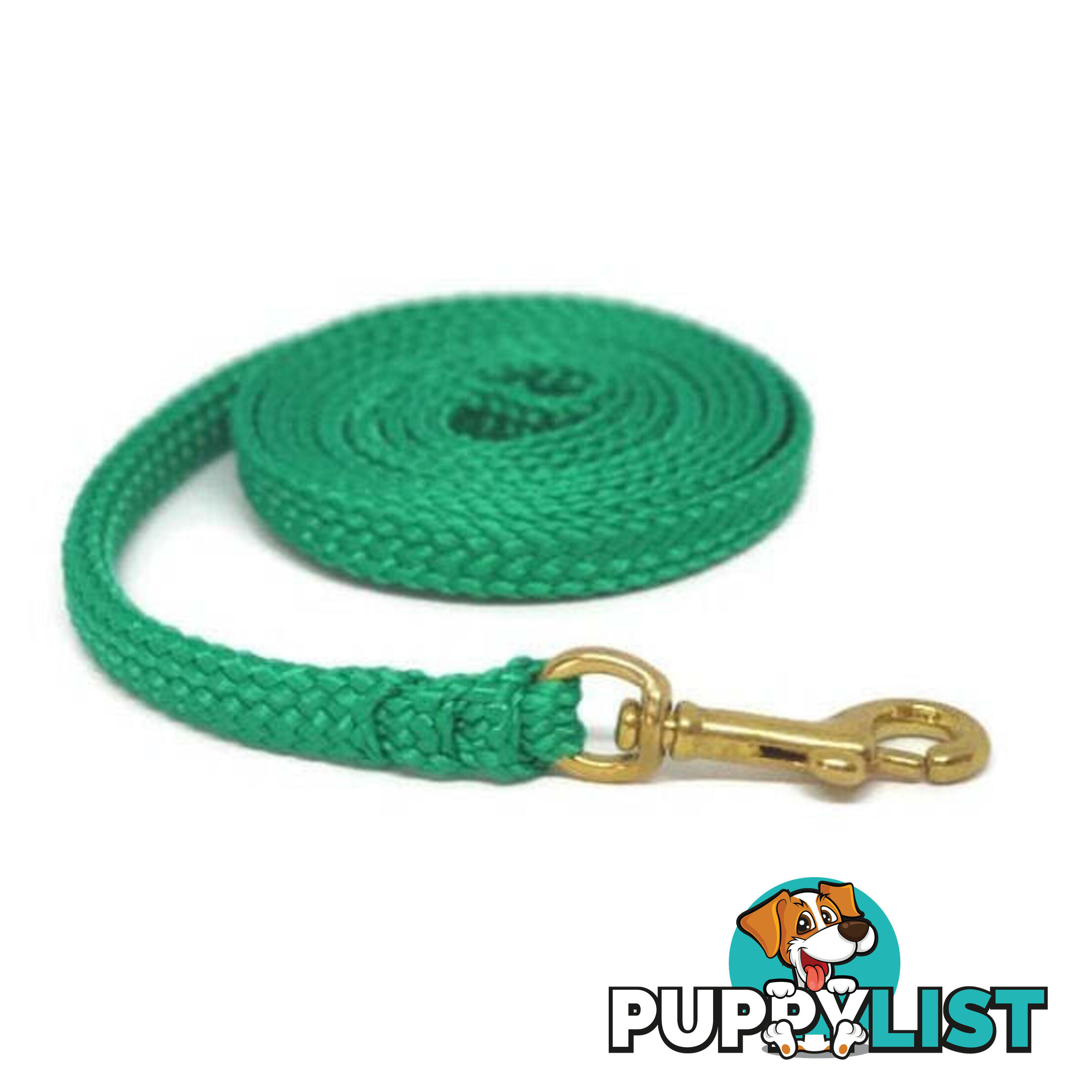 1.8m to 10m Long Dog Lead No Stitching Tough Yarnix 10mm Wide - YNXLD10-3-RD-BR