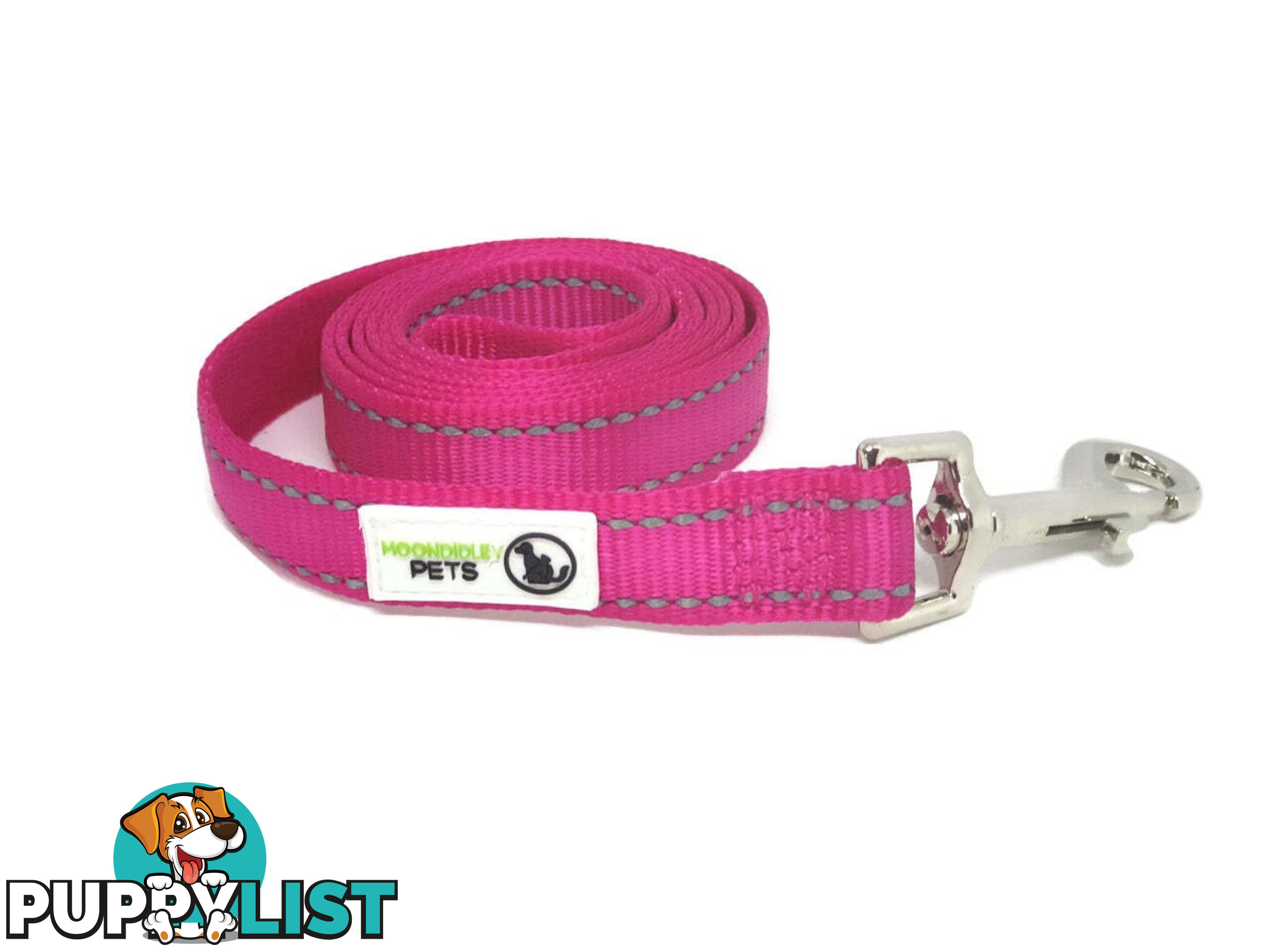 5m Long Nylon w/Reflective Stitching Dog Lead - Moondidley Pets - MDPLDREFLBLU255