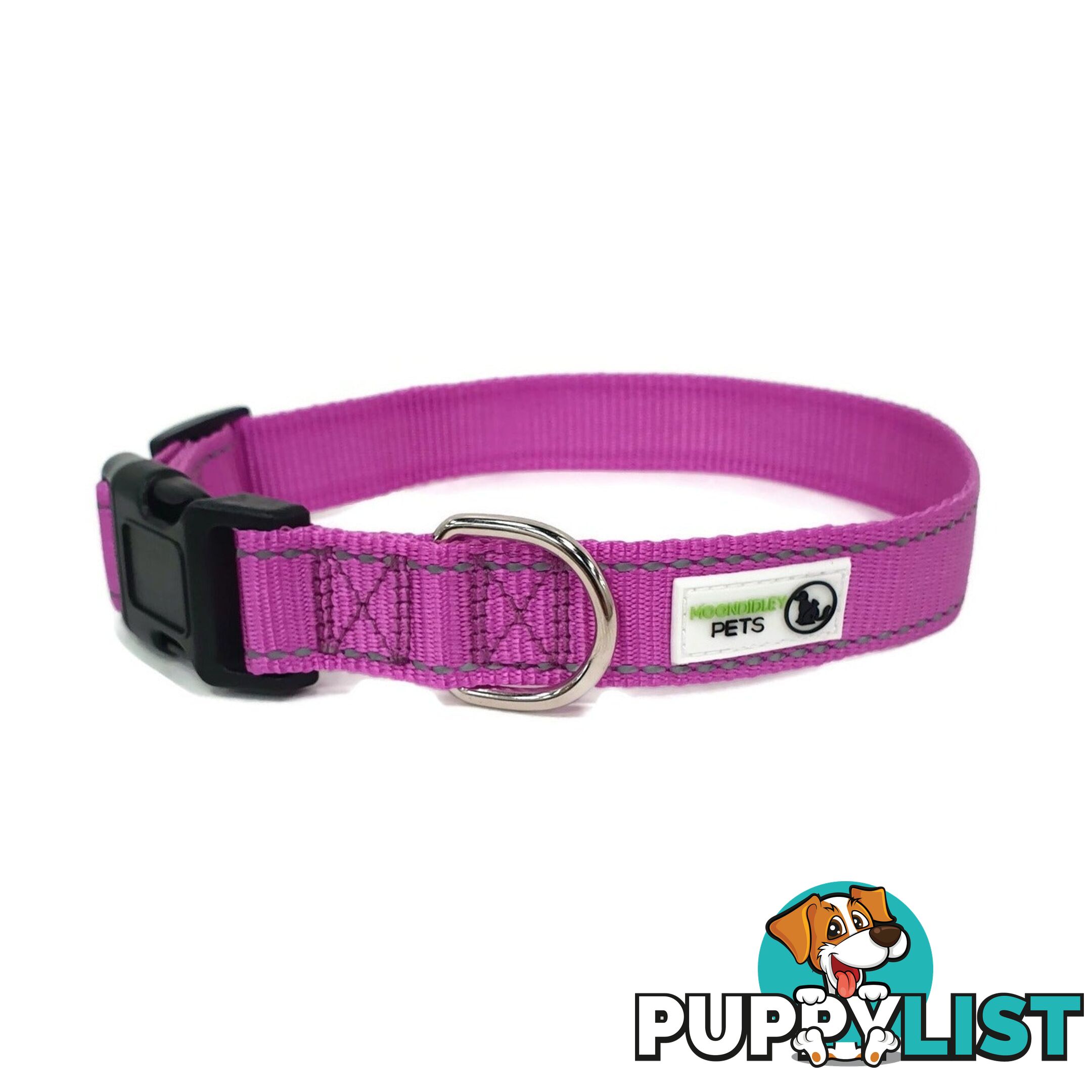 Nylon w/Reflective Stitching Dog Collar - Moondidley Pets - MDPCOLREFLTUR