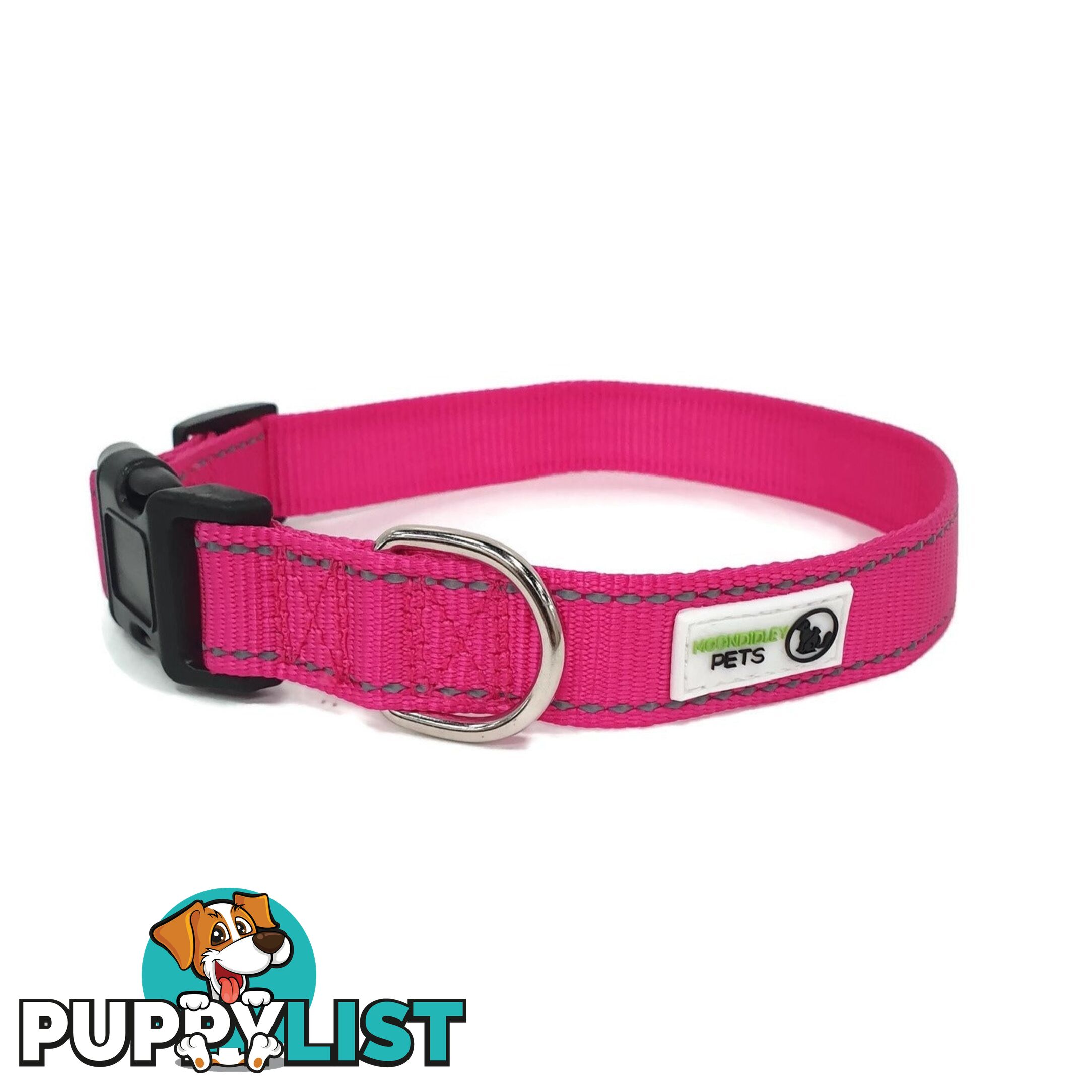 Nylon w/Reflective Stitching Dog Collar - Moondidley Pets - MDPCOLREFLTUR