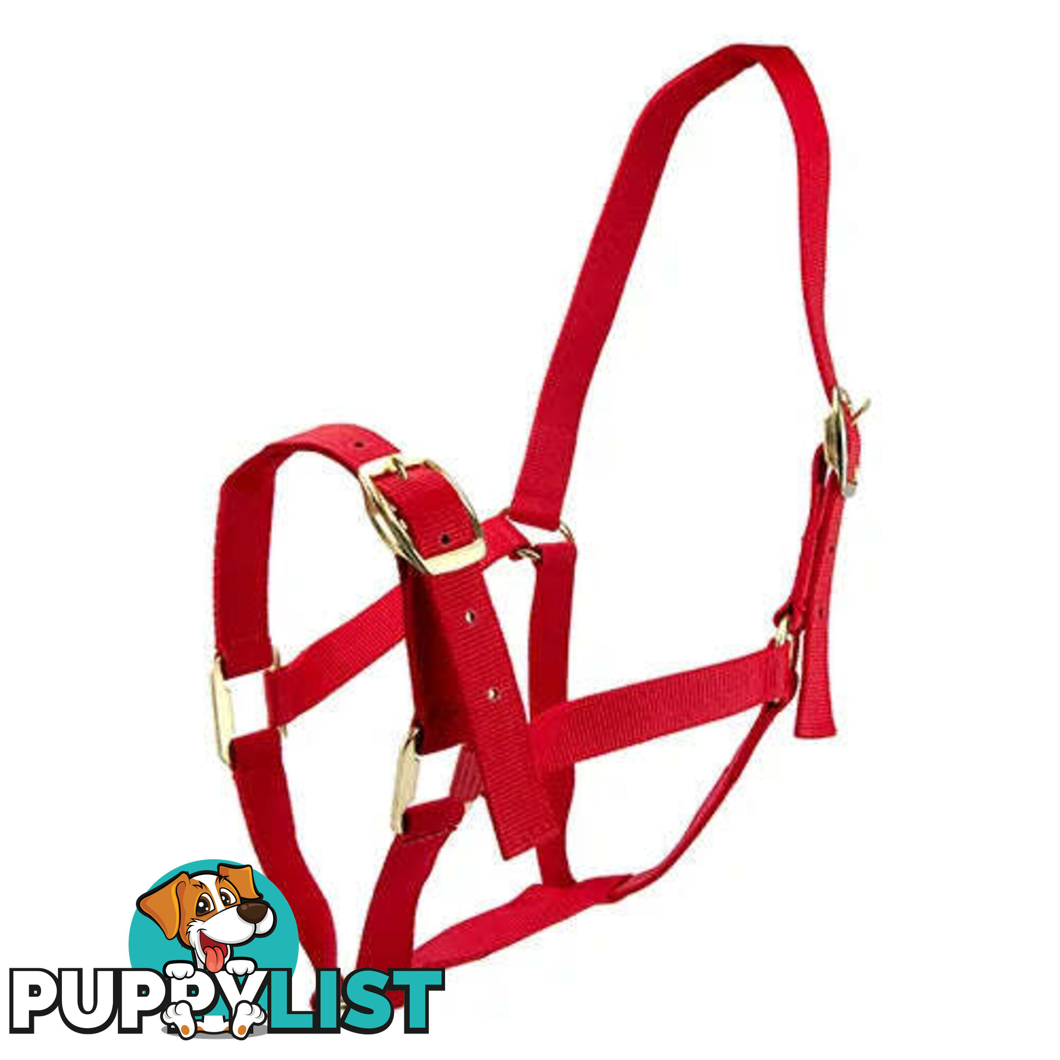 Click to Enlarge HORSE HALTERS - BAINBRIDGE - BB-A2201-BLK