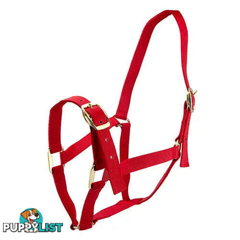 Click to Enlarge HORSE HALTERS - BAINBRIDGE - BB-A2201-BLK
