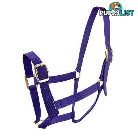 Click to Enlarge HORSE HALTERS - BAINBRIDGE - BB-A2201-BLK