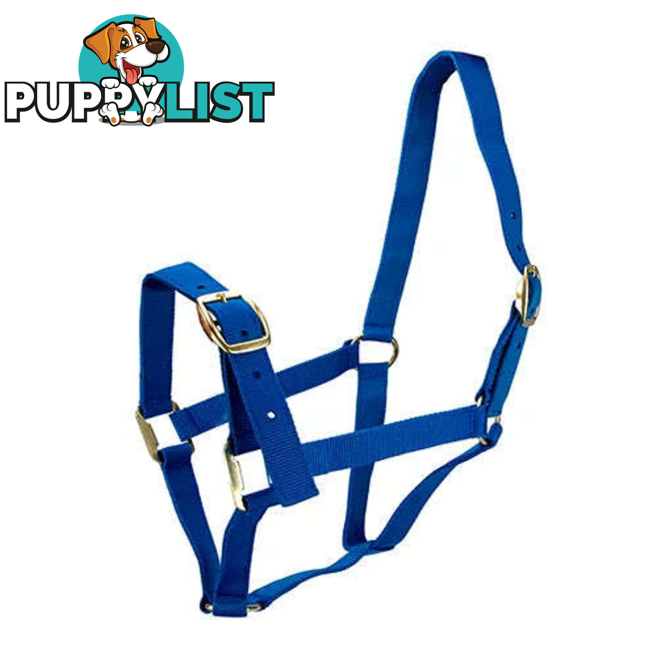 Click to Enlarge HORSE HALTERS - BAINBRIDGE - BB-A2201-BLK