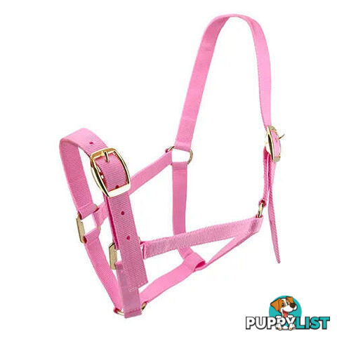Click to Enlarge HORSE HALTERS - BAINBRIDGE - BB-A2201-BLK