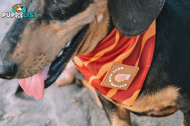 Designer Dog Bandana's by Explore with Paws - EWPBANLPNK