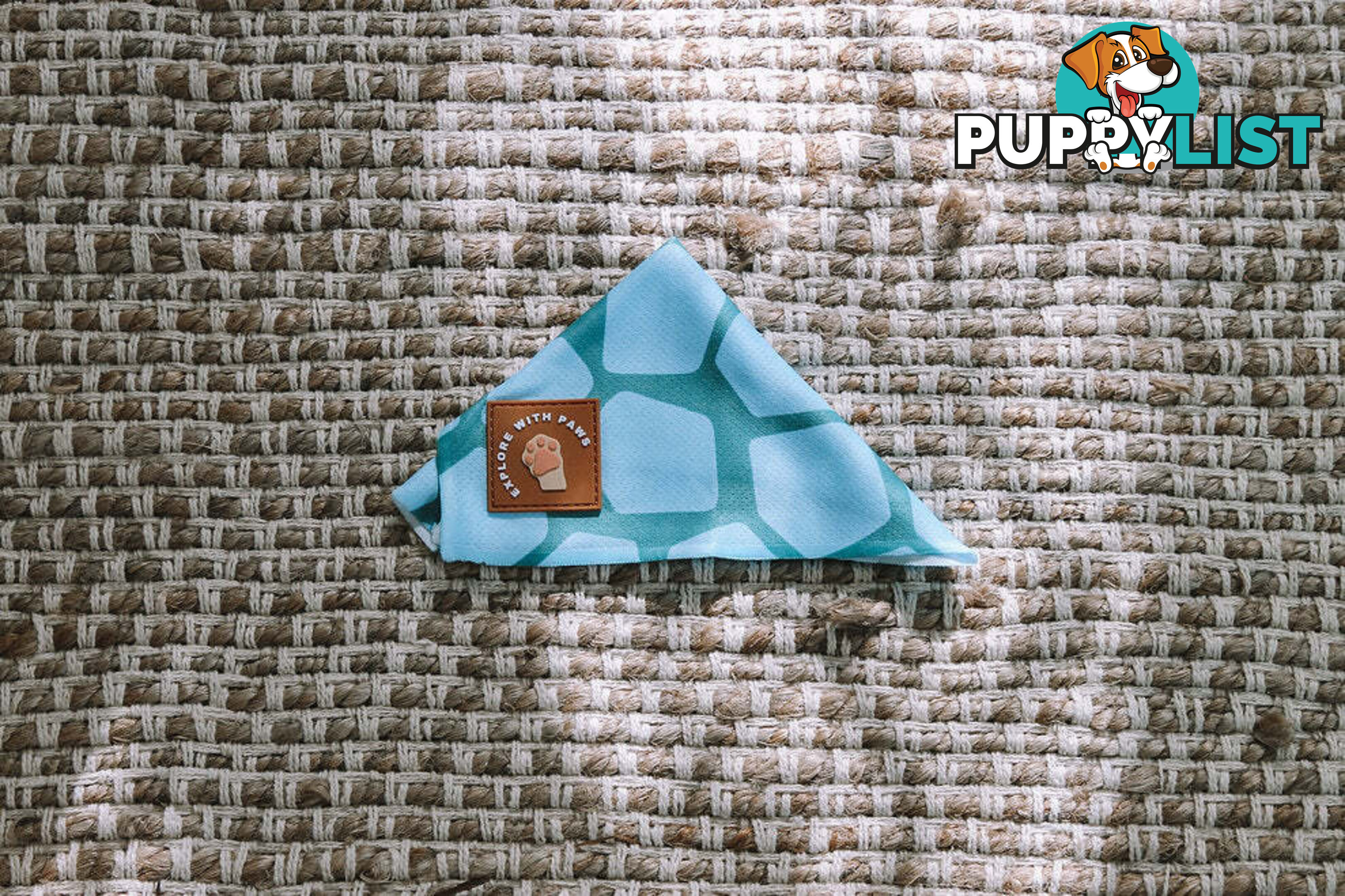 Designer Dog Bandana's by Explore with Paws - EWPBANLPNK