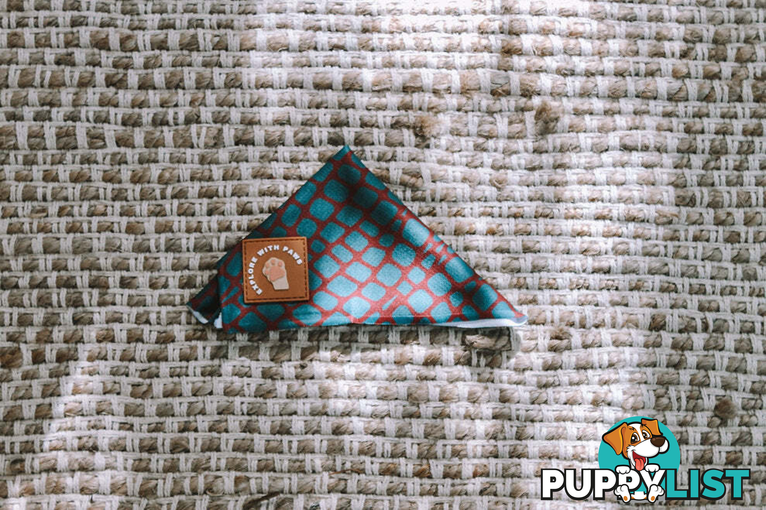 Designer Dog Bandana's by Explore with Paws - EWPBANLPNK