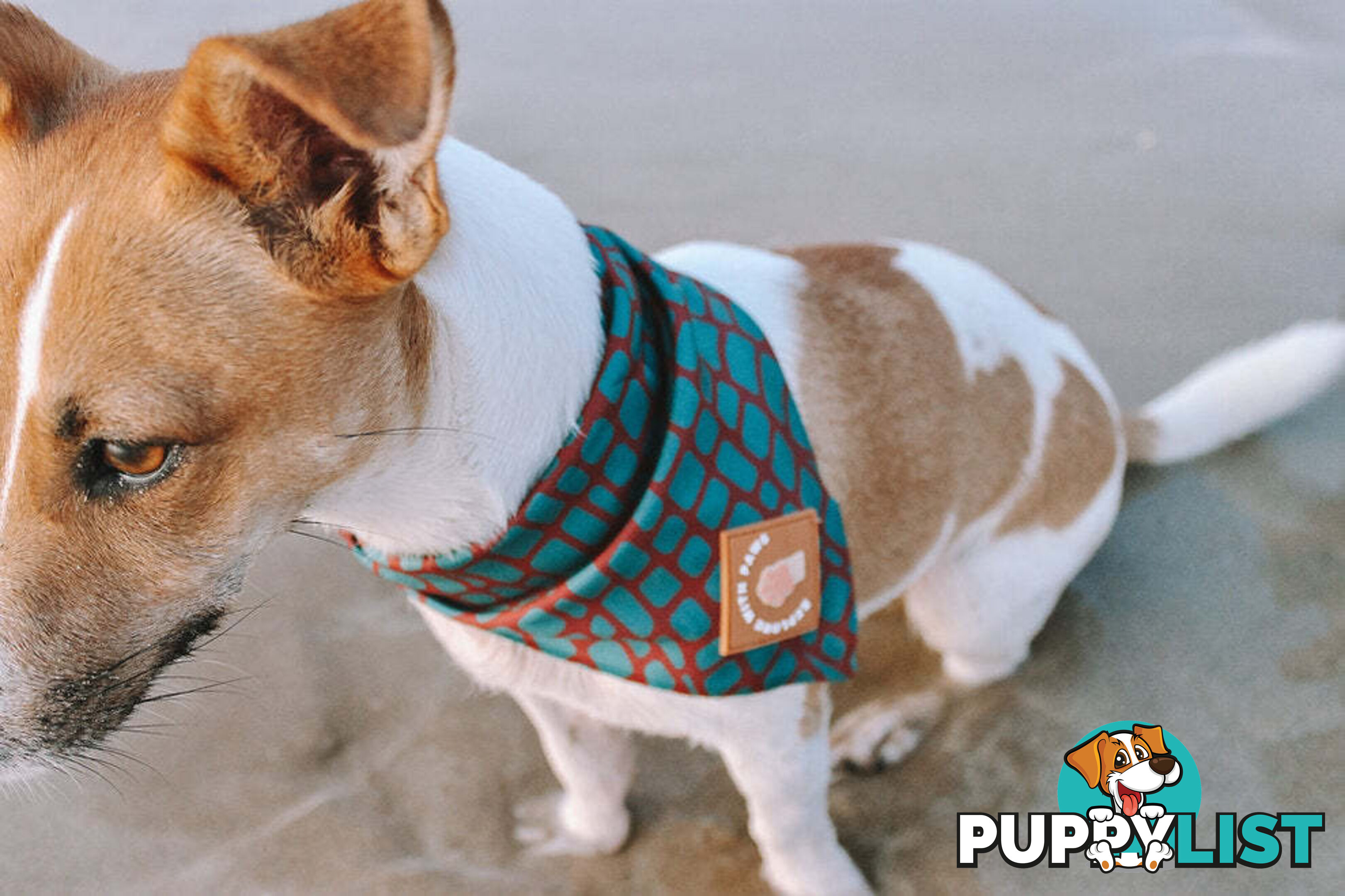 Designer Dog Bandana's by Explore with Paws - EWPBANLPNK
