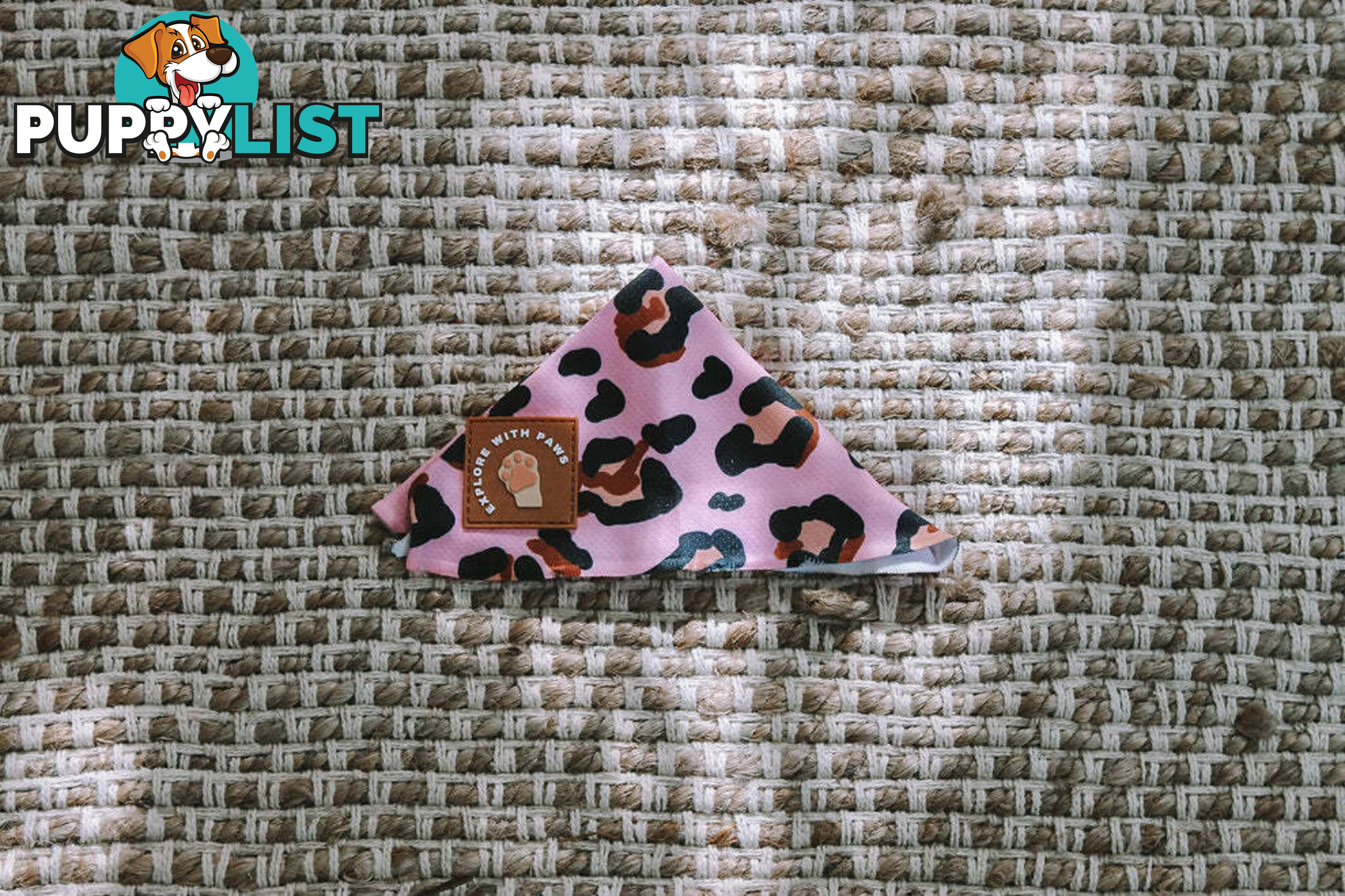 Designer Dog Bandana's by Explore with Paws - EWPBANLPNK