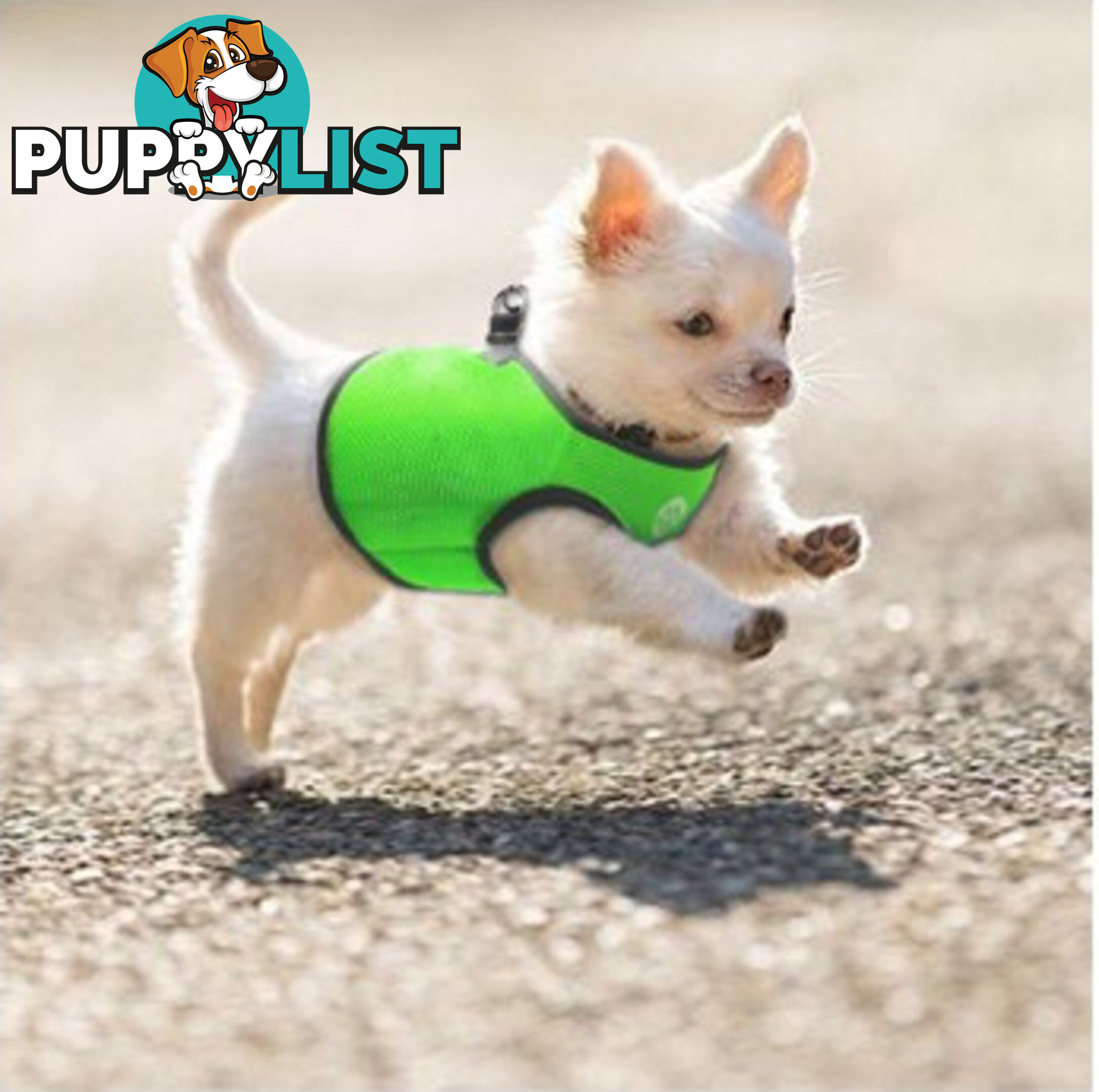 Doggie ID Vest Soft Air Mesh Personlised Embroidered - MDPIDVESLPNK