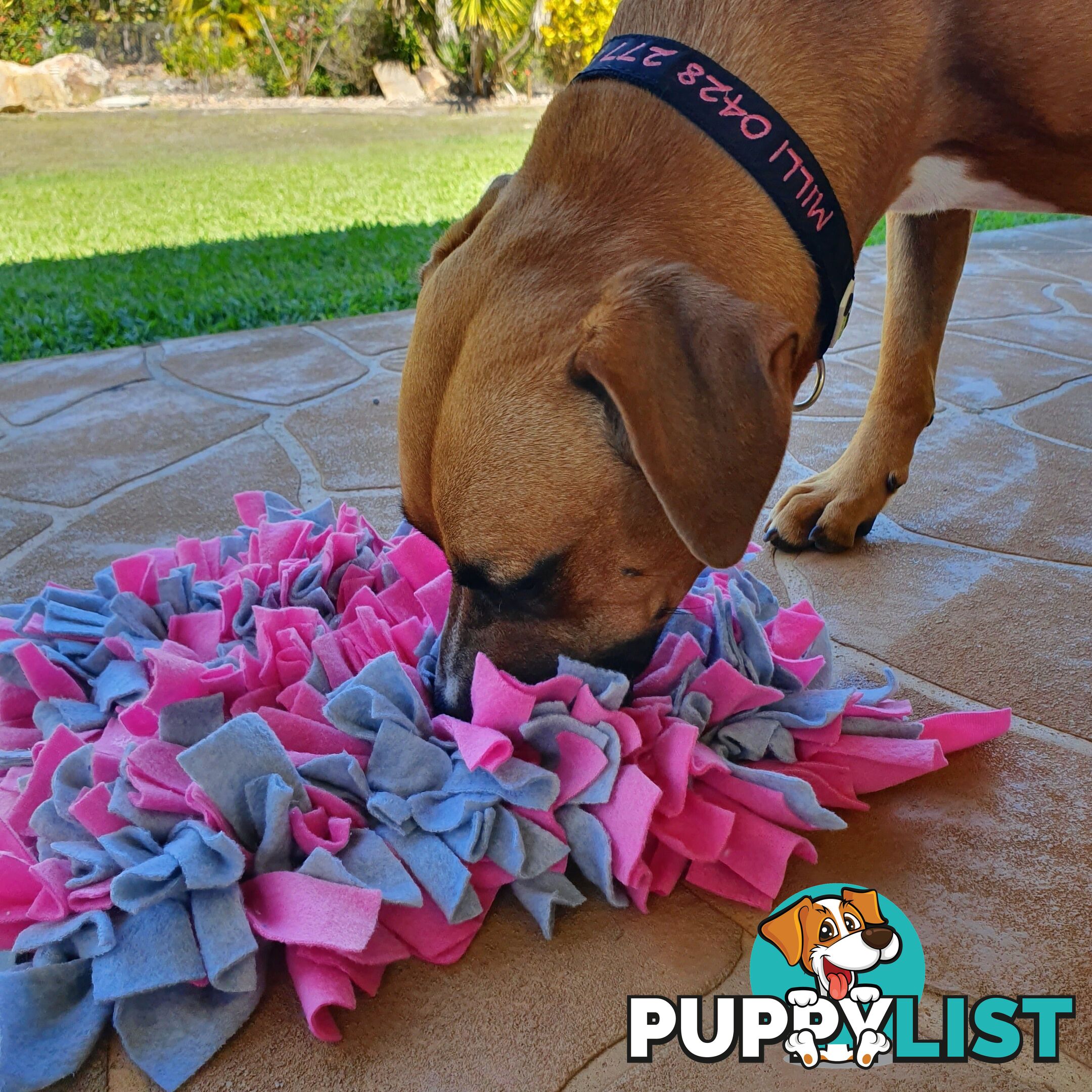 Snuffle Mats - Premium Heavy Duty Rubber Based - Pet Treat Play - Calms Anxiety - Slow Feeder - SNUFFLE-MED-PNYE