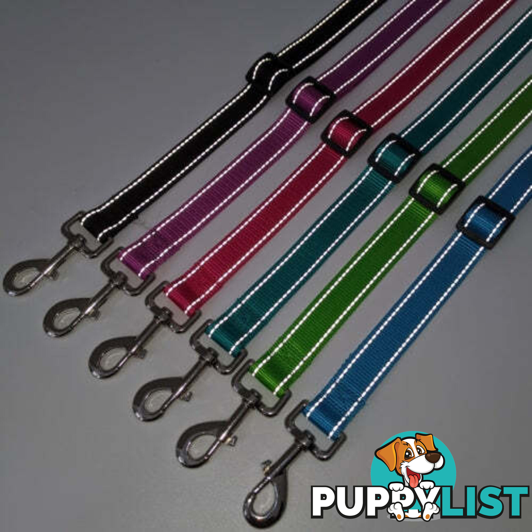 Hands Free Runner/Walker Waist Dog Leash Reflective- Moondidley Pets - MDPLDRUNLBLU