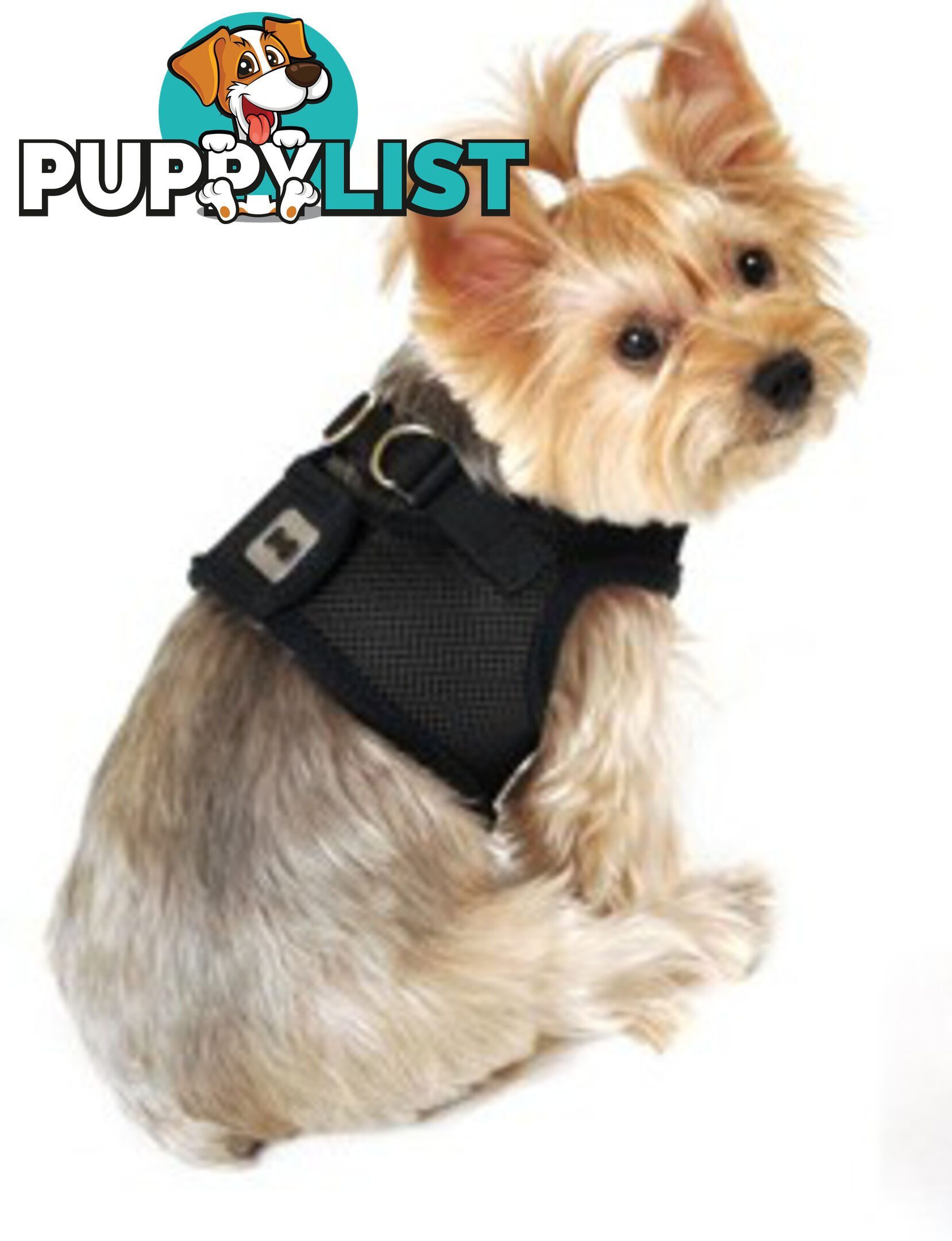 Vest Harness Pet Dog-Cat Step-in Velcro and Buckle Attachments - Moondidley Pets - MDPVESTLLBLU