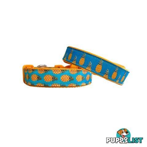 Pineapple Dog Collar - Hand Made by The Bark Side - TBSPIN1L