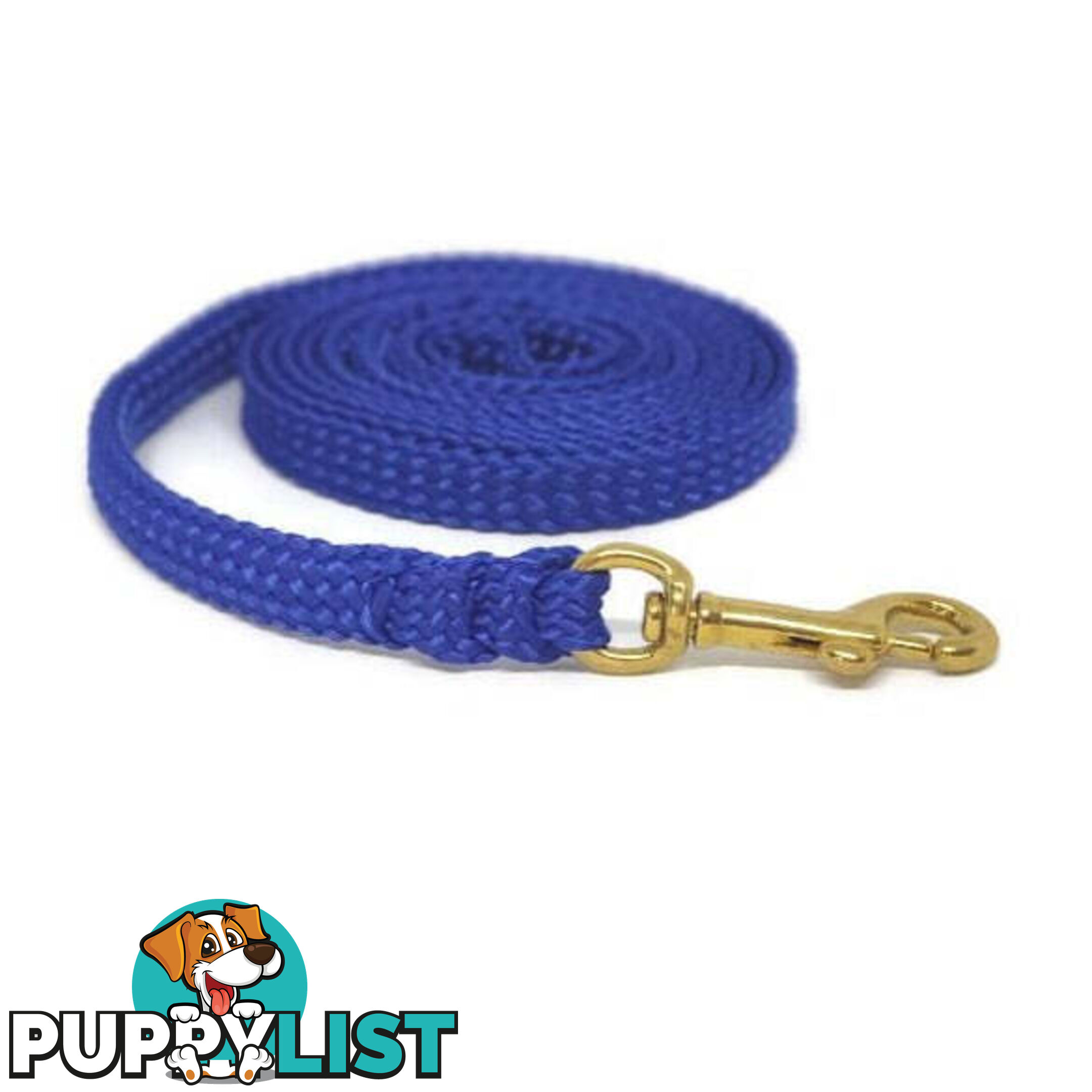 1.8m to 10m Long Dog Lead No Stitching Tough Yarnix 10mm Wide - YNXLD10-3-GRN-SS