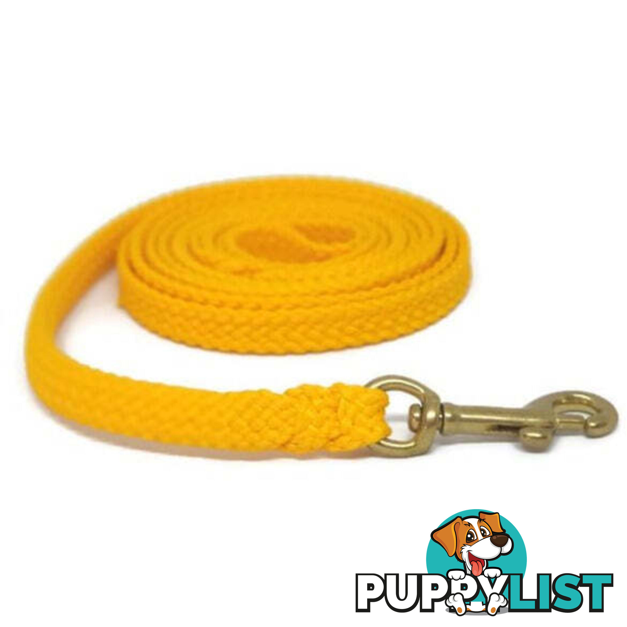 1.8m to 10m Long Dog Lead No Stitching Tough Yarnix 10mm Wide - YNXLD10-3-GRN-SS