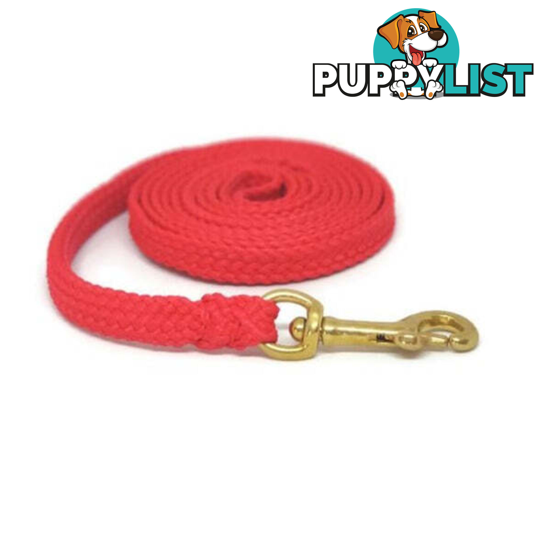 1.8m to 10m Long Dog Lead No Stitching Tough Yarnix 10mm Wide - YNXLD10-3-GRN-SS