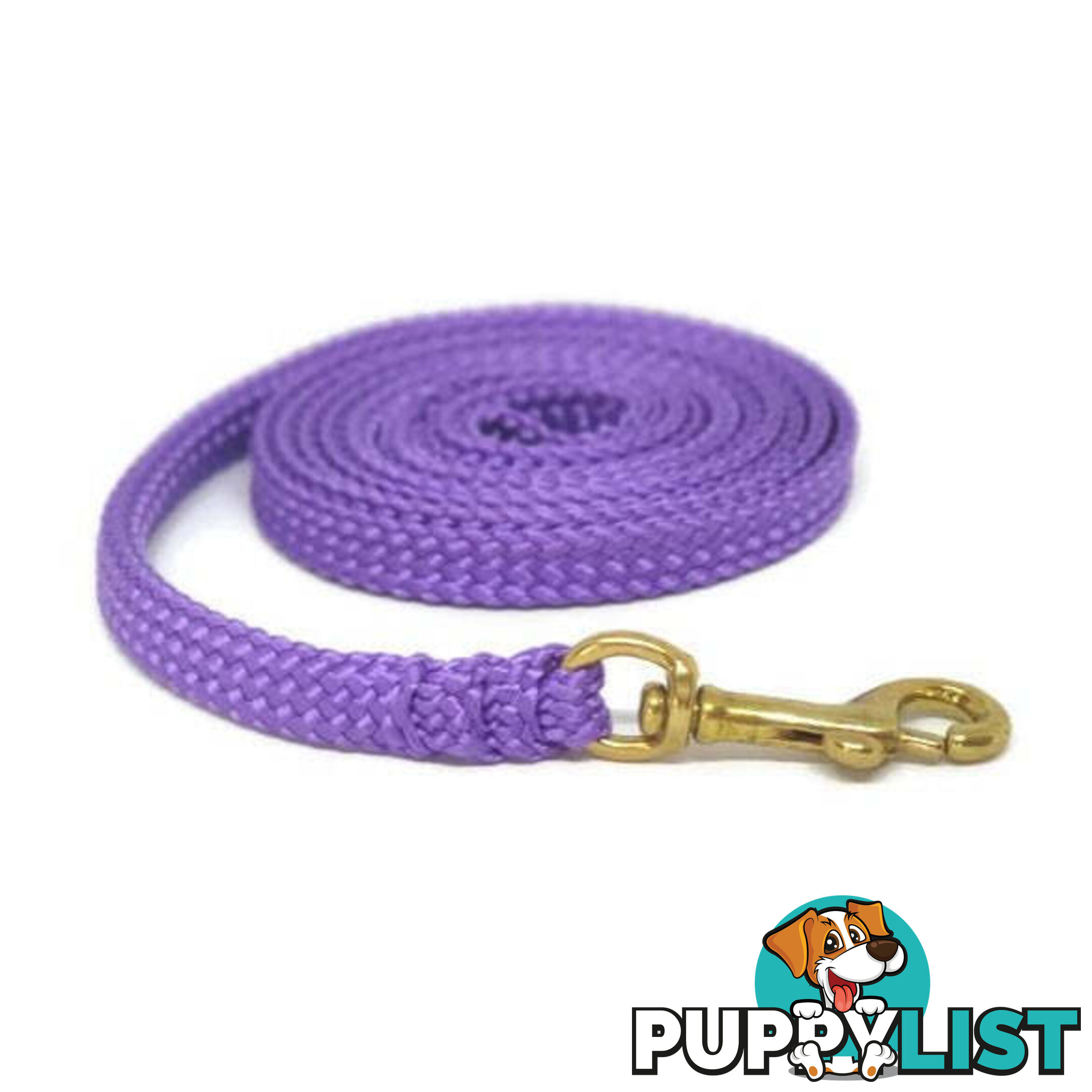 1.8m to 10m Long Dog Lead No Stitching Tough Yarnix 10mm Wide - YNXLD10-3-GRN-SS