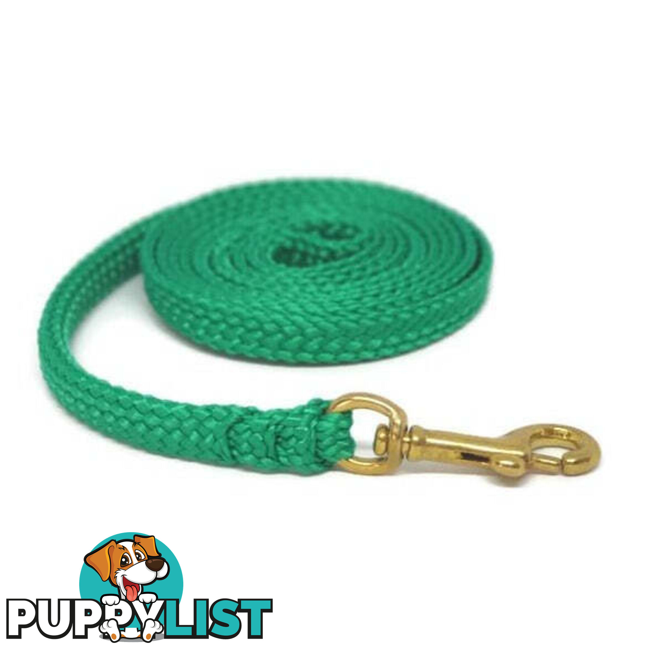 1.8m to 10m Long Dog Lead No Stitching Tough Yarnix 10mm Wide - YNXLD10-3-GRN-SS