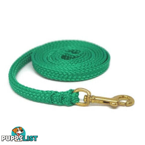 1.8m to 10m Long Dog Lead No Stitching Tough Yarnix 10mm Wide - YNXLD10-3-GRN-SS