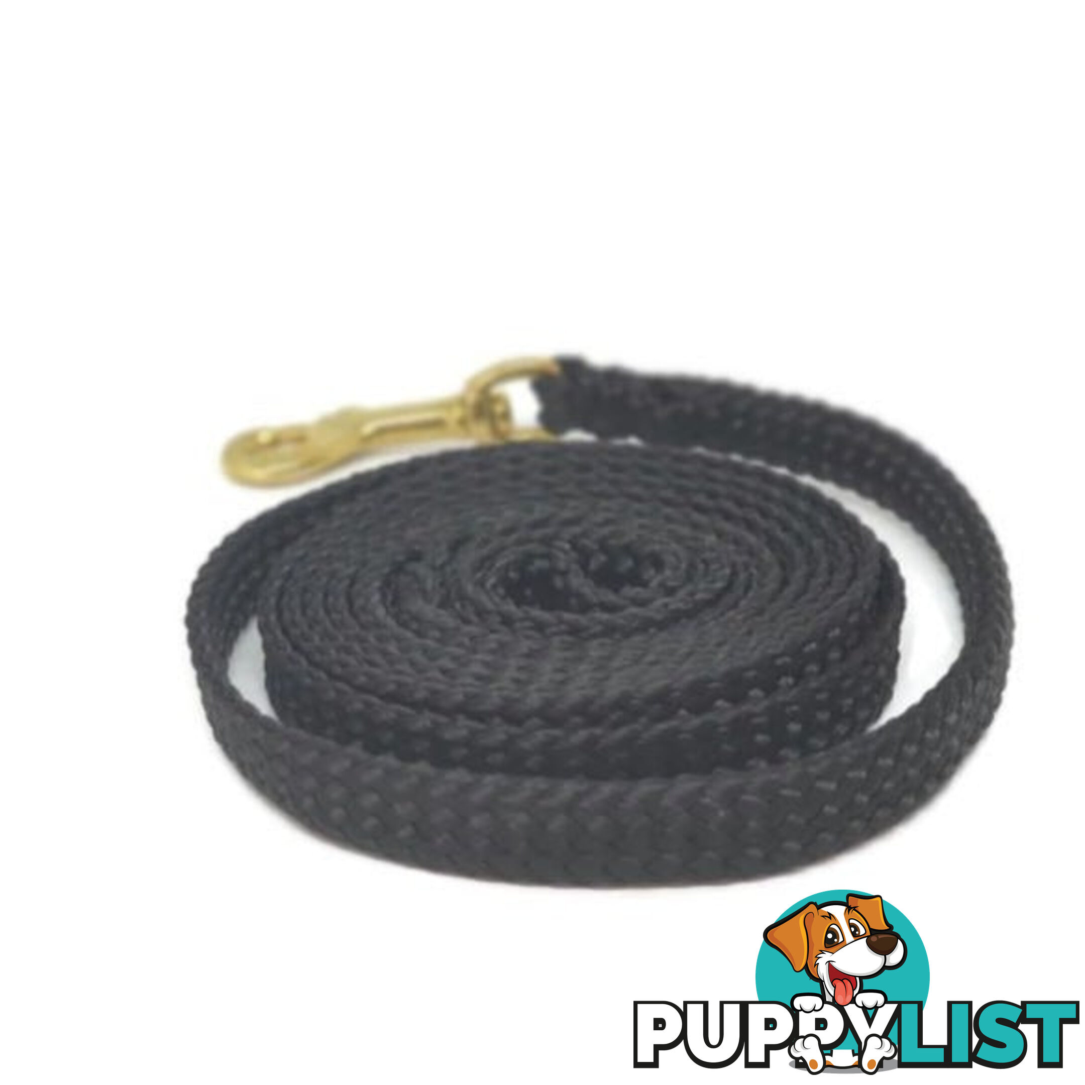 1.8m to 10m Long Dog Lead No Stitching Tough Yarnix 10mm Wide - YNXLD10-3-GRN-SS