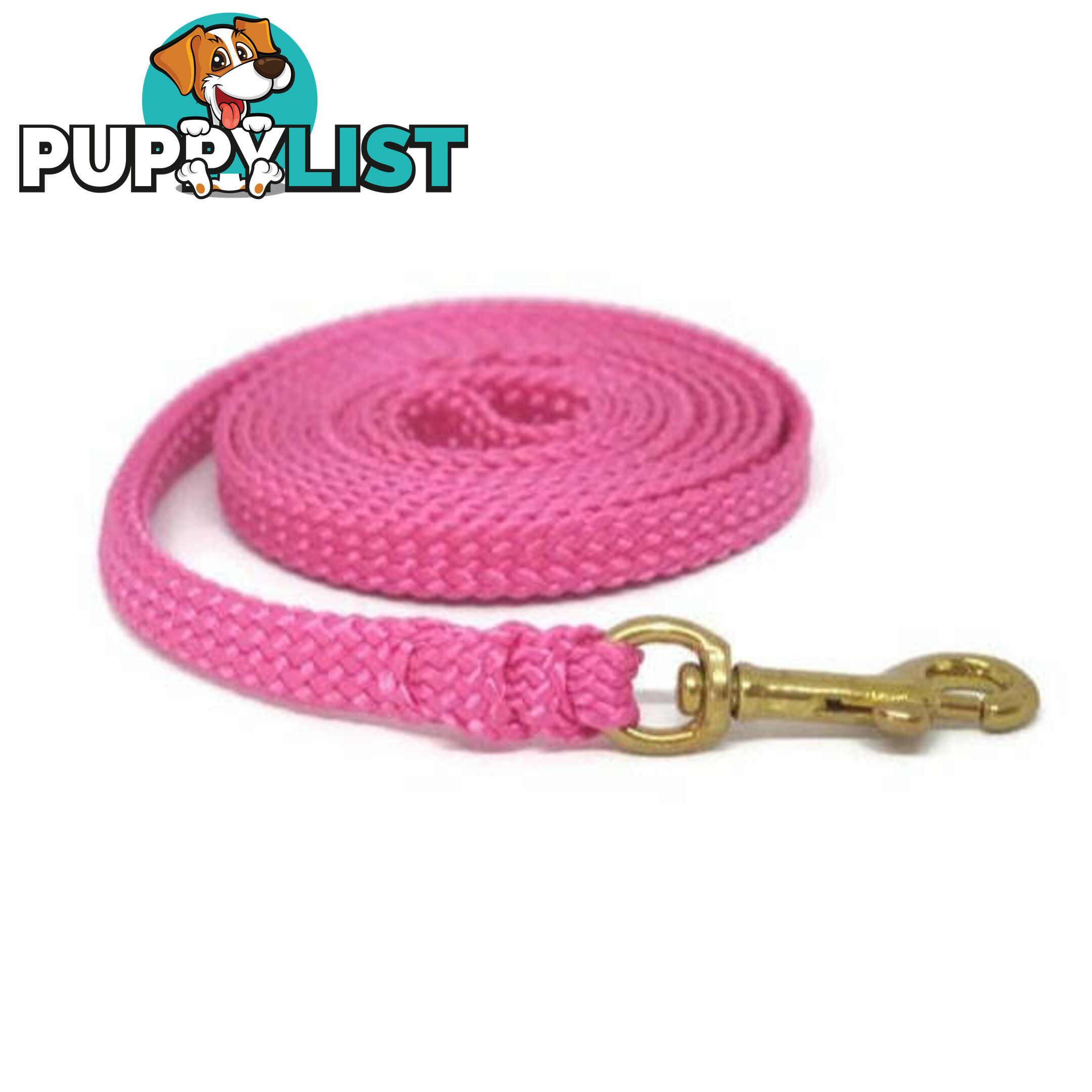 1.8m to 10m Long Dog Lead No Stitching Tough Yarnix 10mm Wide - YNXLD10-3-GRN-SS