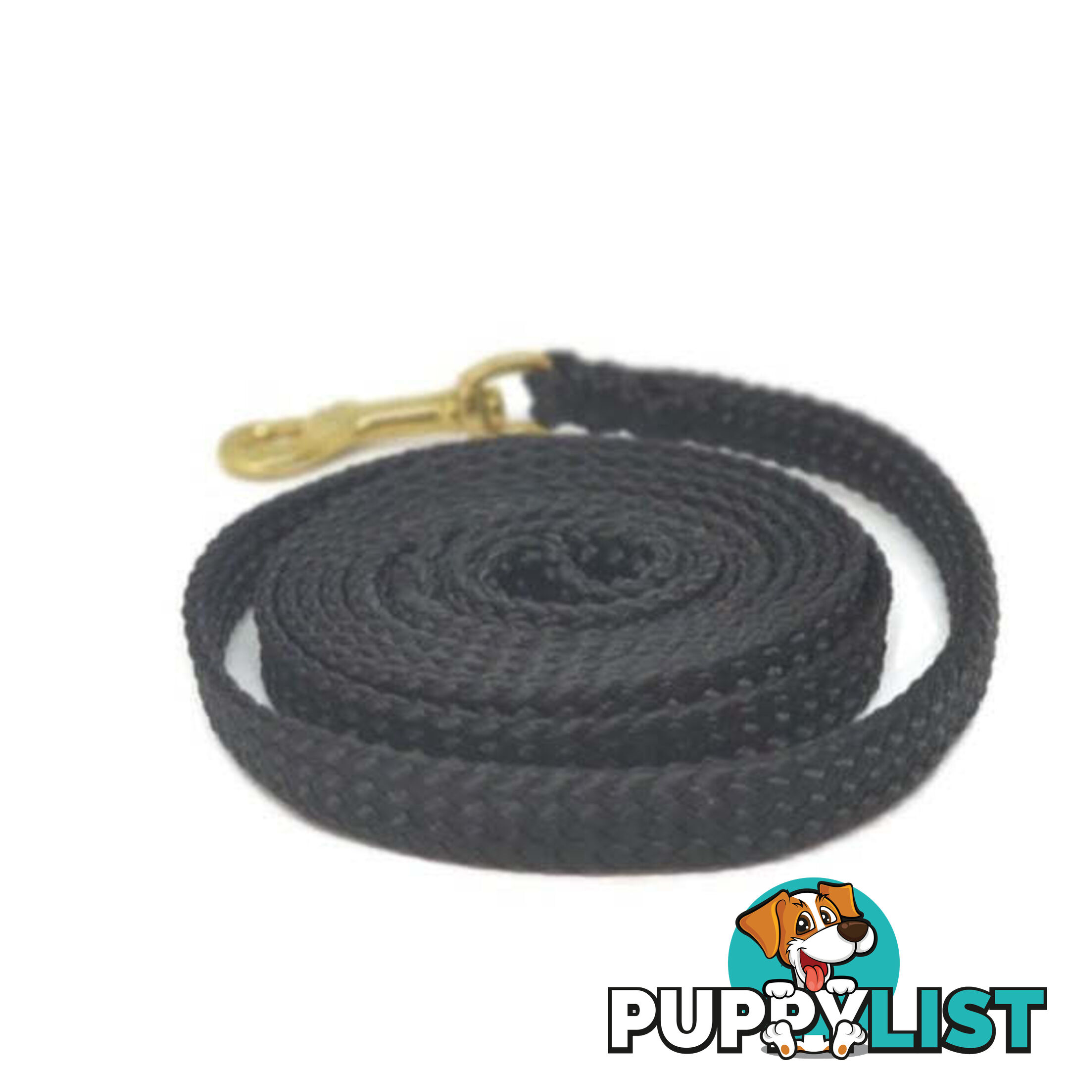 1.8m to 10m Long Dog Lead No Stitching Tough Yarnix 10mm Wide - YNXLD10-3-GRN-SS