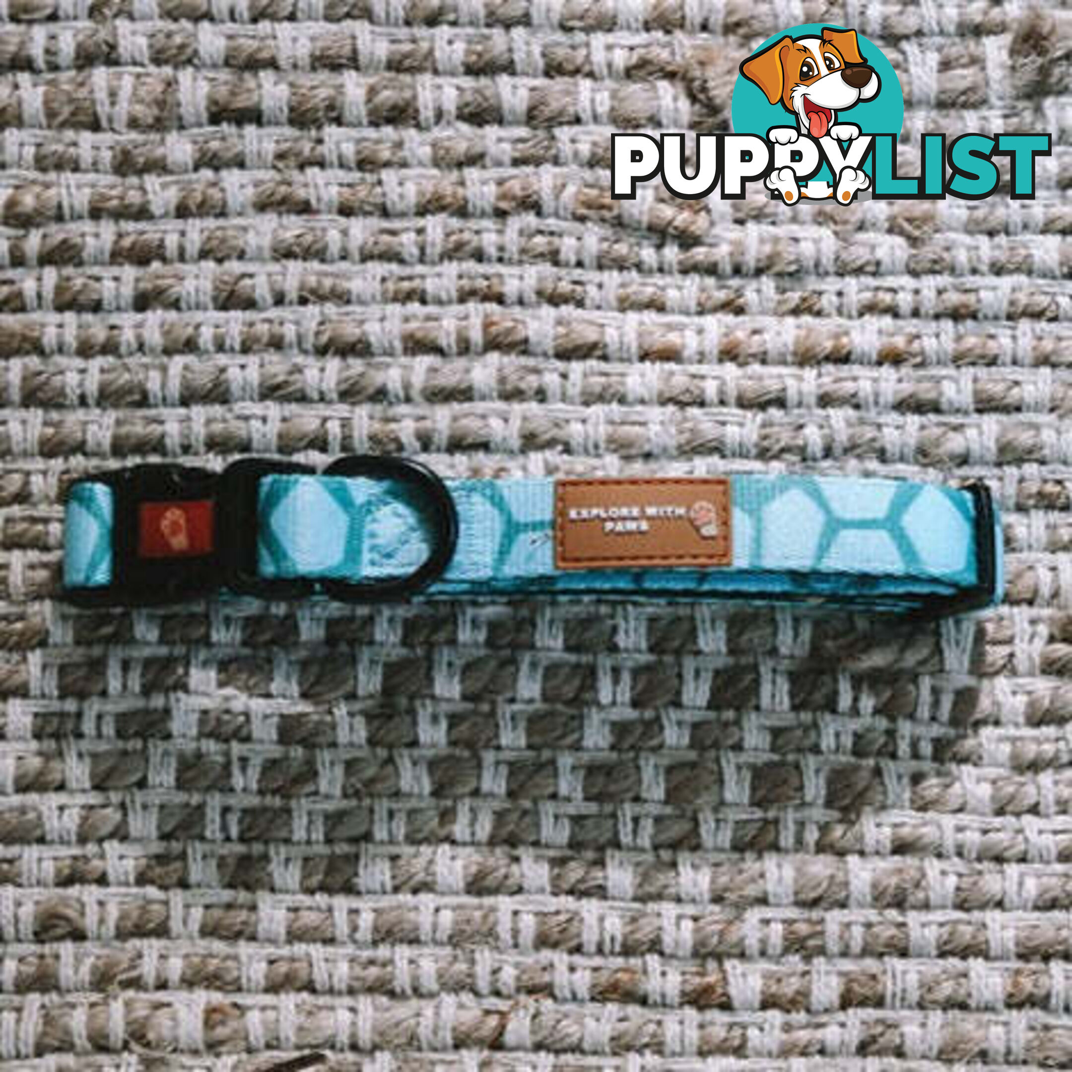 Designer Dog Collars by Explore with Paws - EWPCOLSTIGN